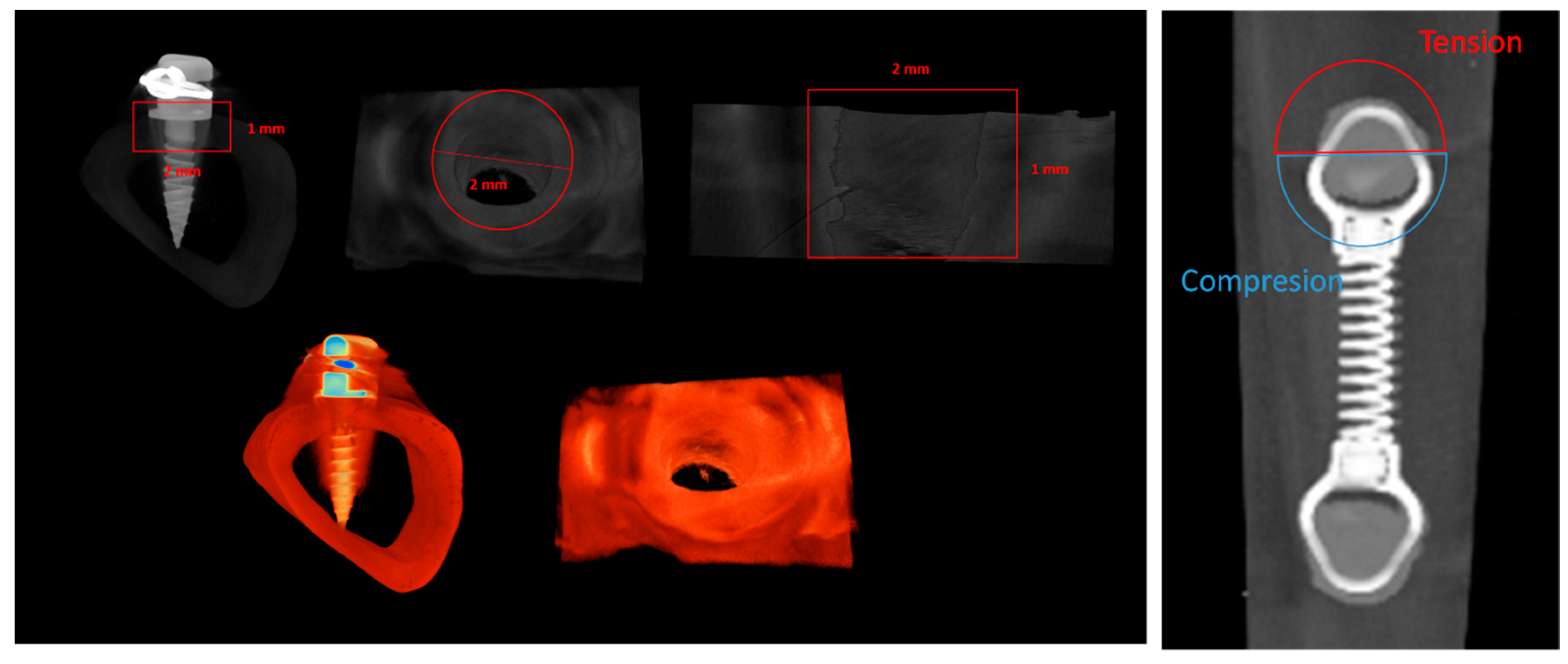 Jfb 14 00239 g002 Jfb 14 00239 g002