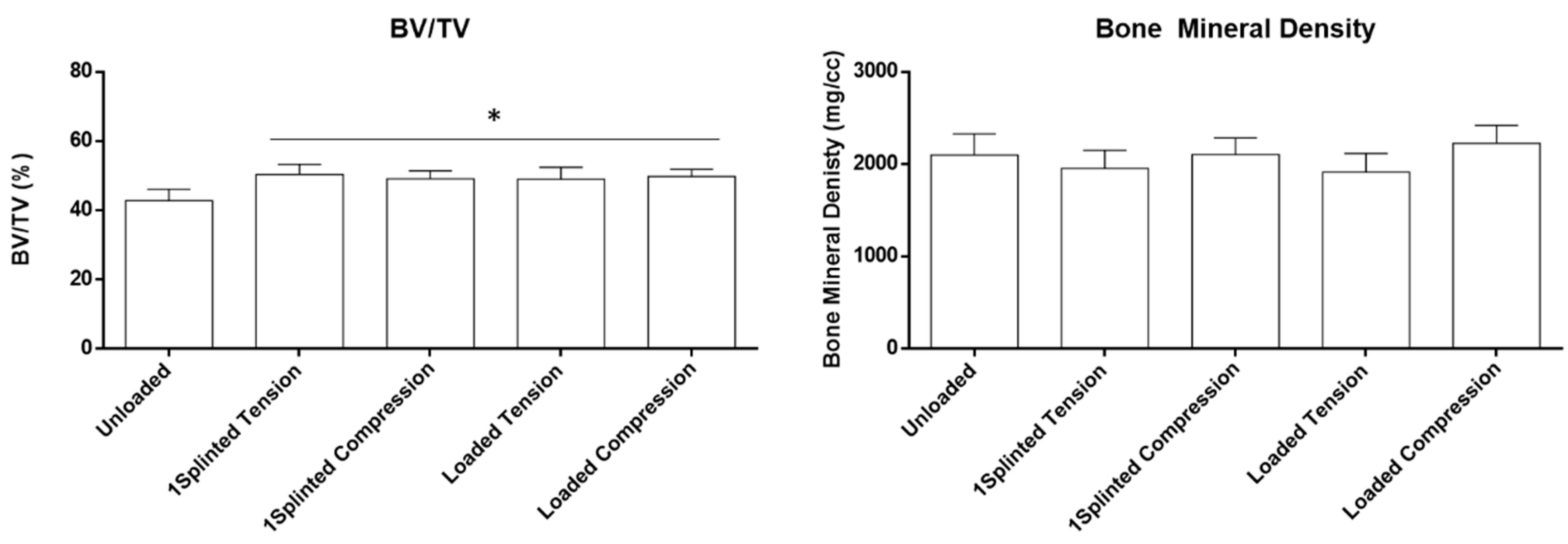 Jfb 14 00239 g005 Jfb 14 00239 g005