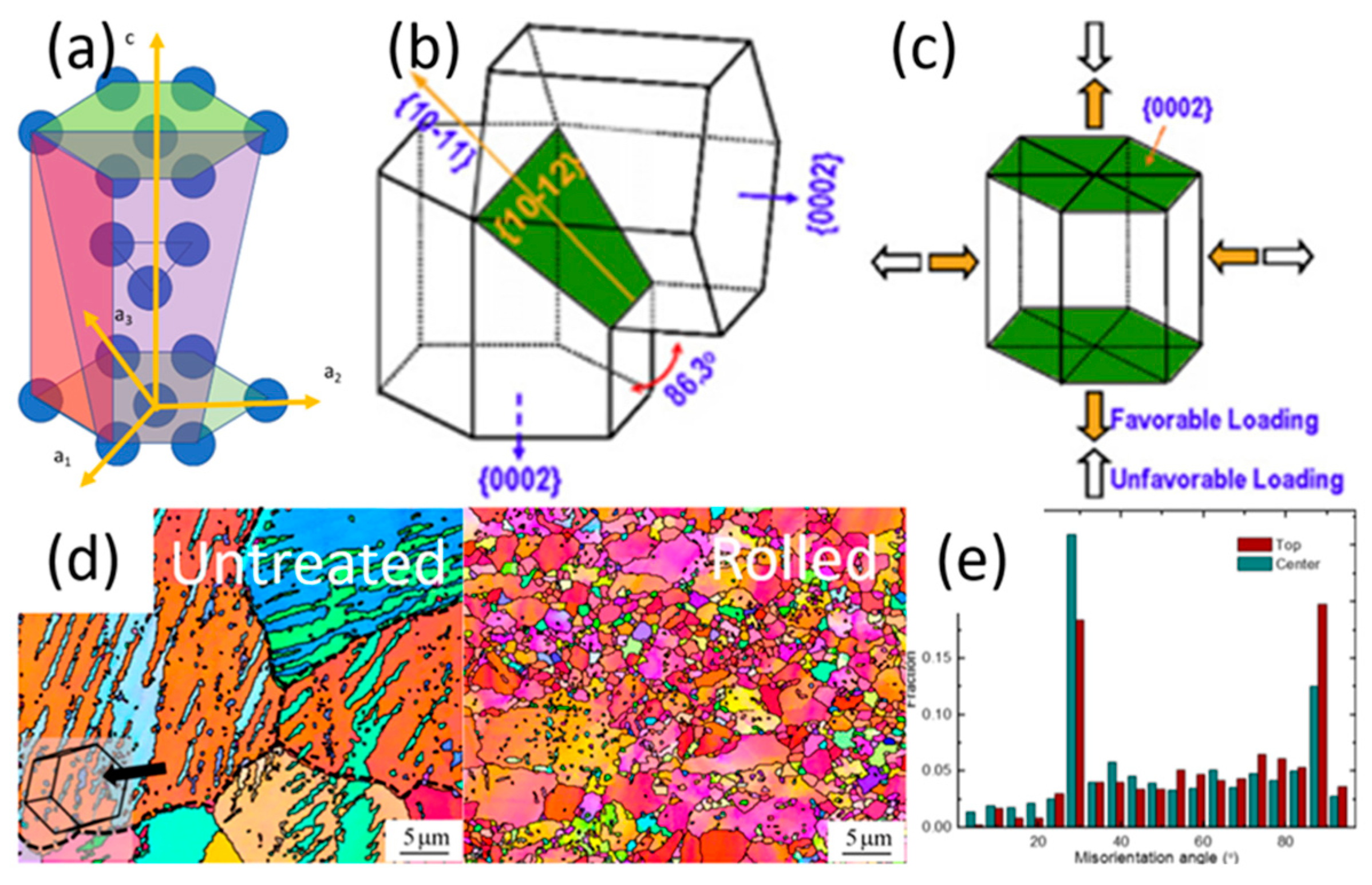 Jfb 14 00242 g001 Jfb 14 00242 g001