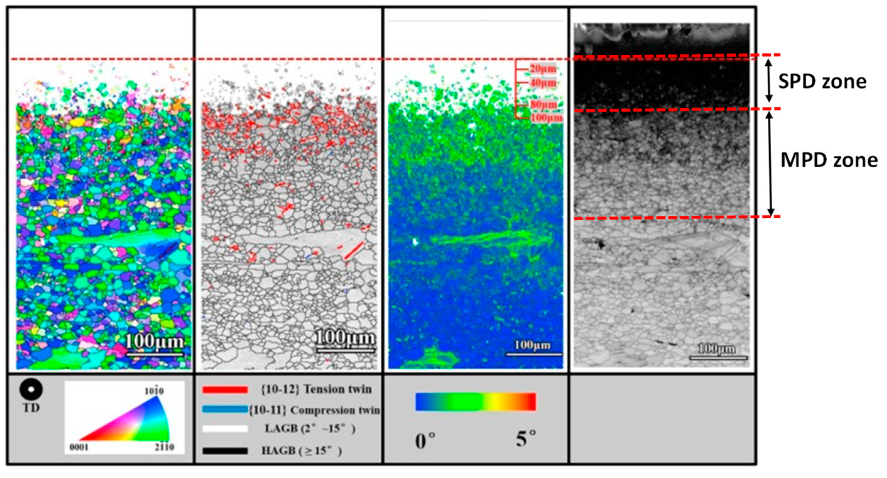 Jfb 14 00242 g008 Jfb 14 00242 g008