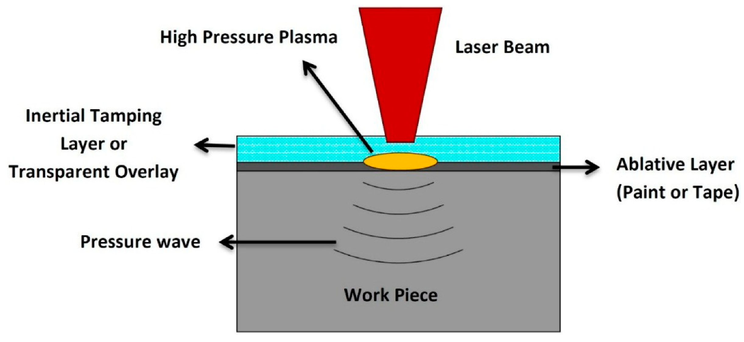 Jfb 14 00242 g010 Jfb 14 00242 g010
