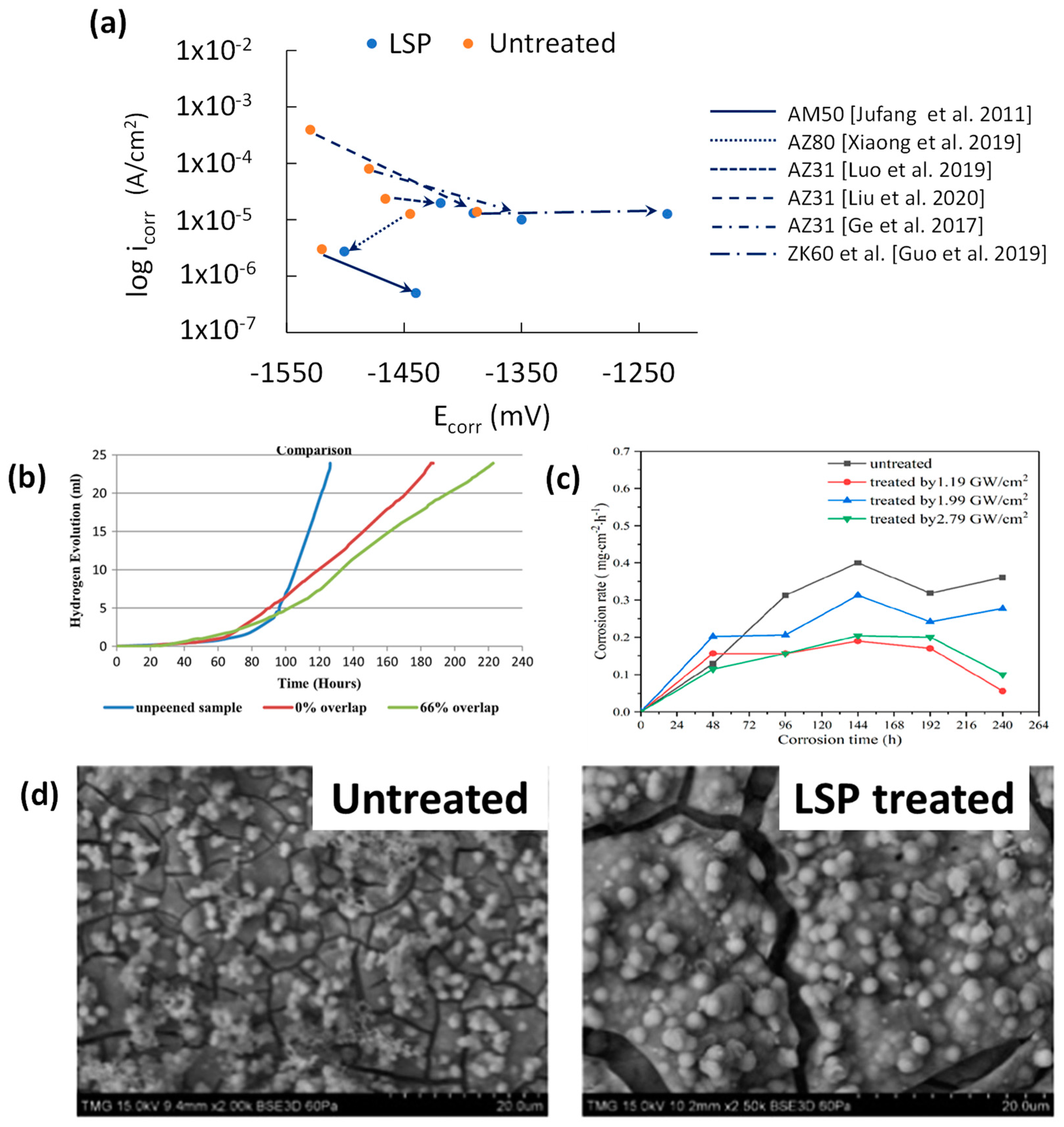 Jfb 14 00242 g012 Jfb 14 00242 g012