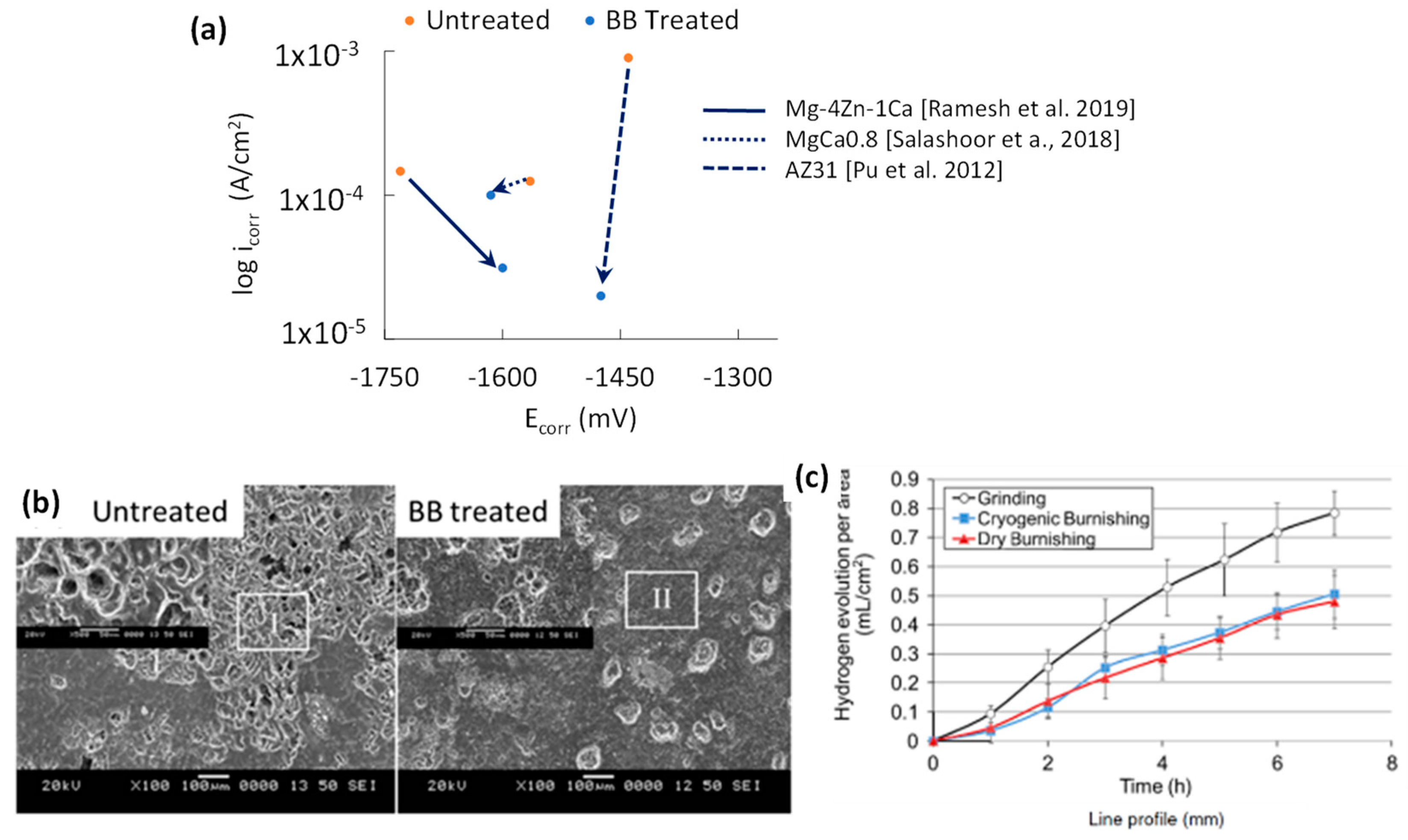 Jfb 14 00242 g015 Jfb 14 00242 g015