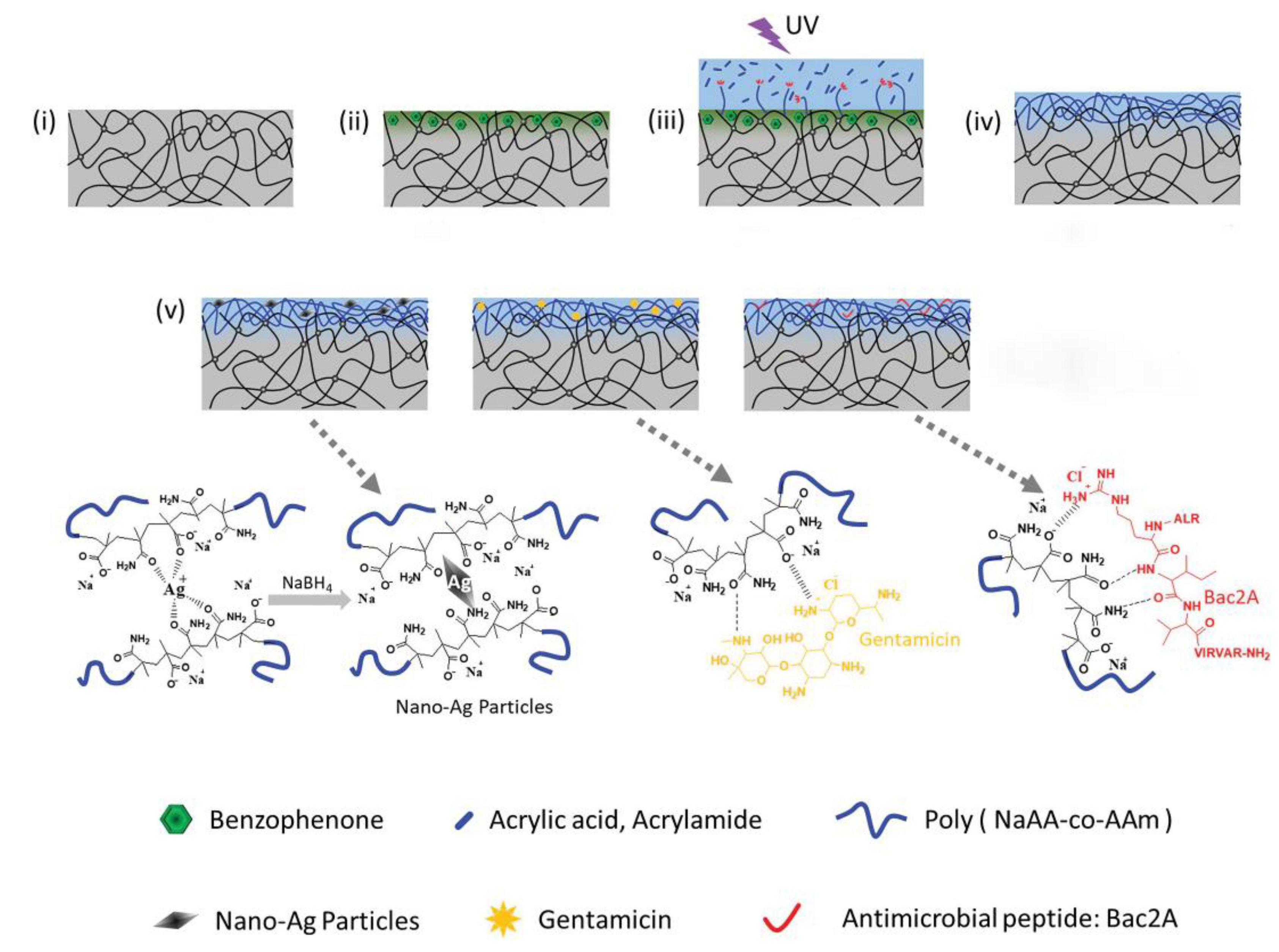 Jfb 14 00243 g001 Jfb 14 00243 g001