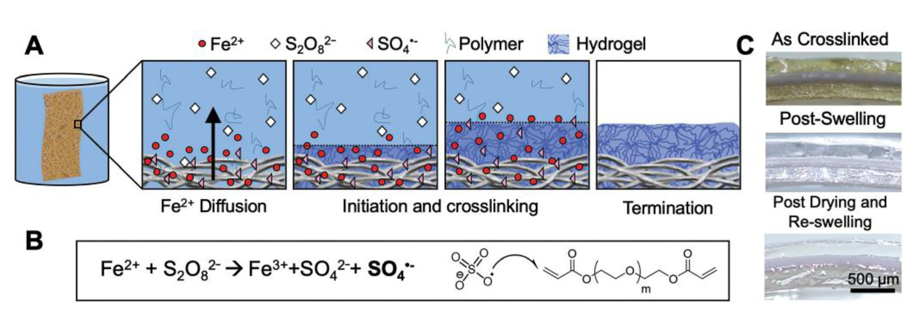 Jfb 14 00243 g002 Jfb 14 00243 g002