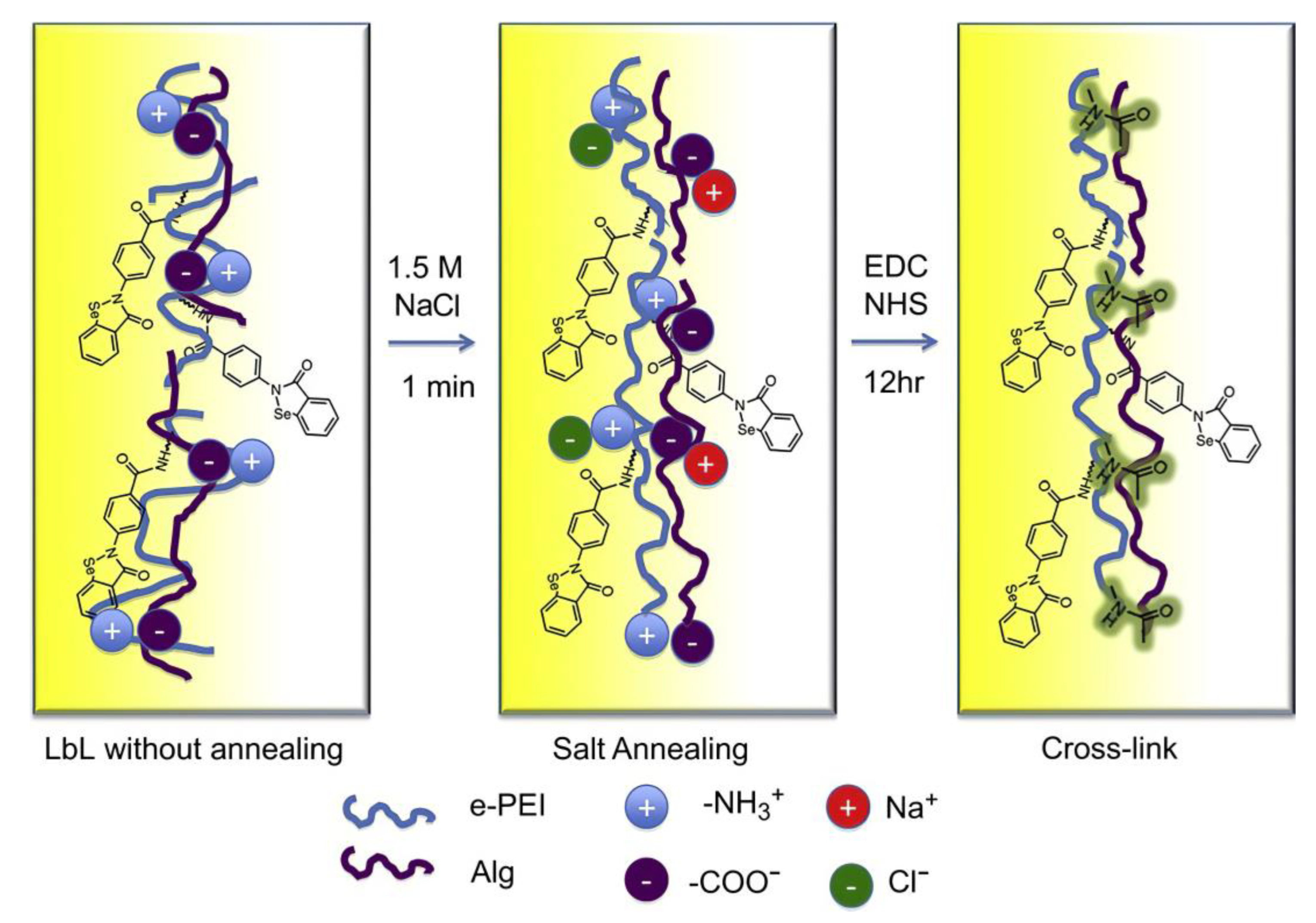 Jfb 14 00243 g006 Jfb 14 00243 g006