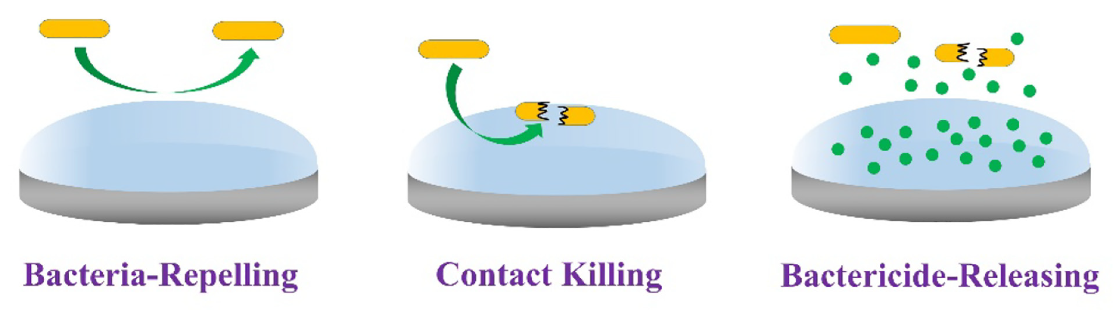 Jfb 14 00243 g007 Jfb 14 00243 g007