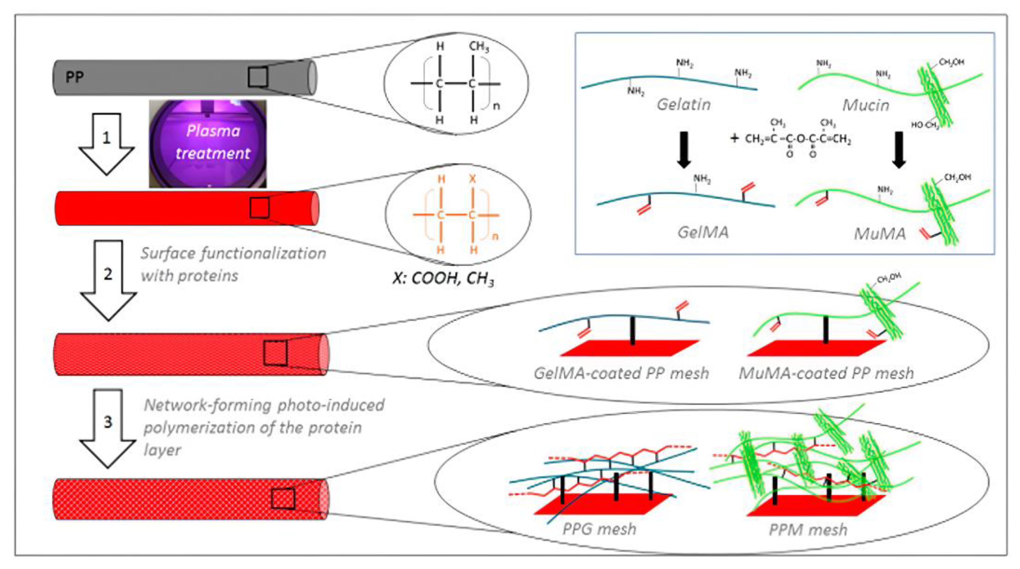 Jfb 14 00243 g008 Jfb 14 00243 g008