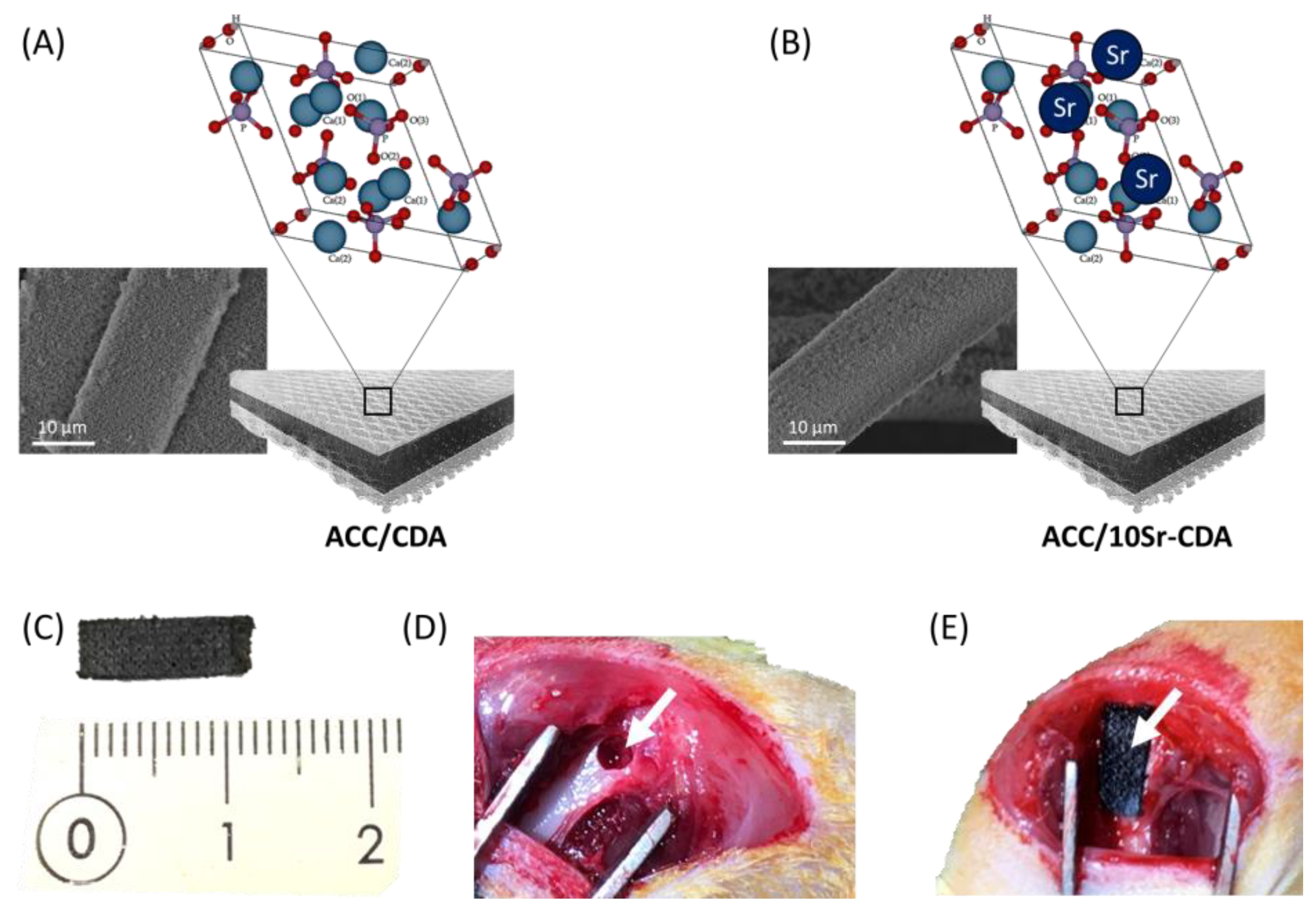 Jfb 14 00246 g001 Jfb 14 00246 g001