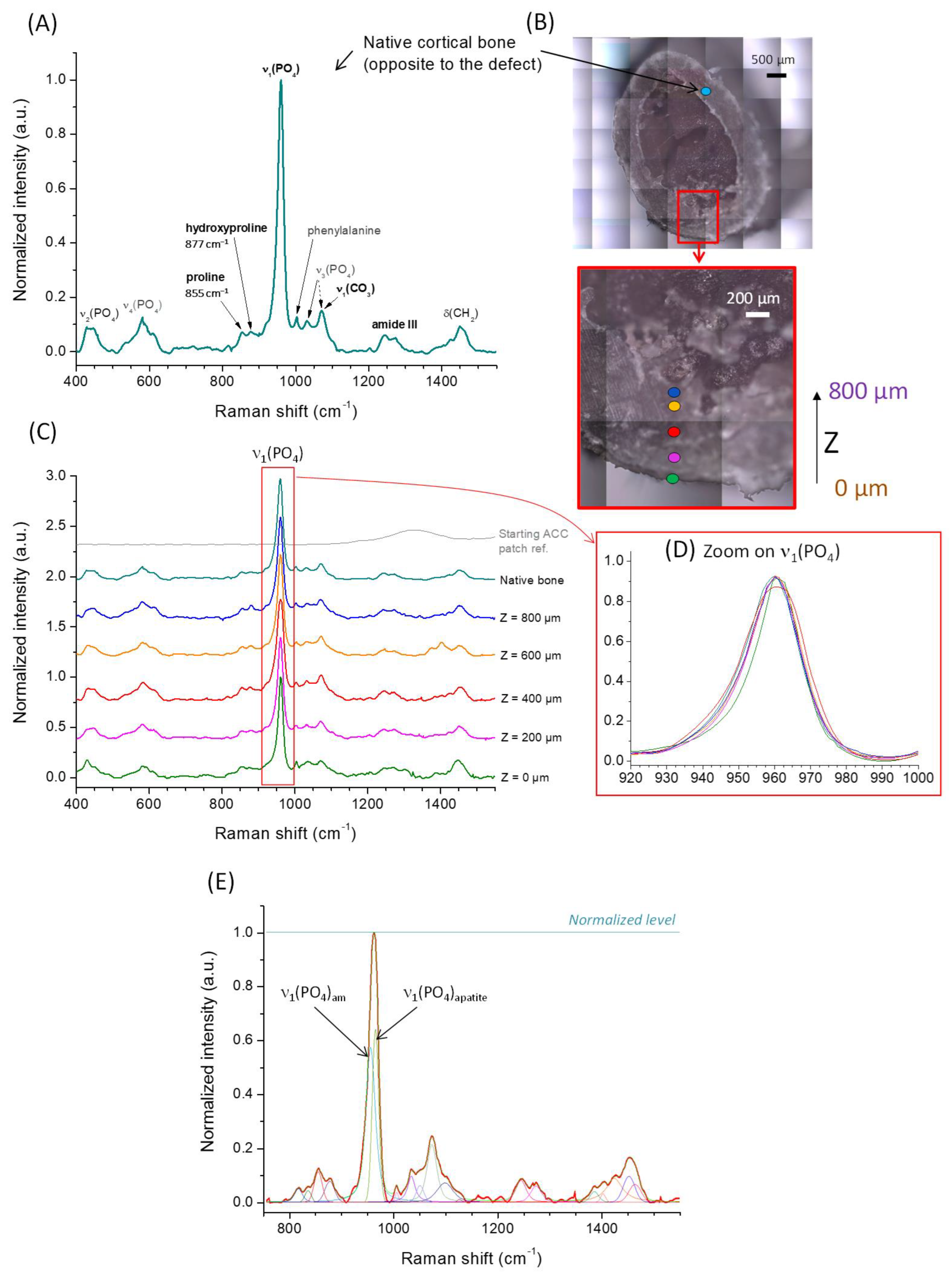 Jfb 14 00246 g003 Jfb 14 00246 g003