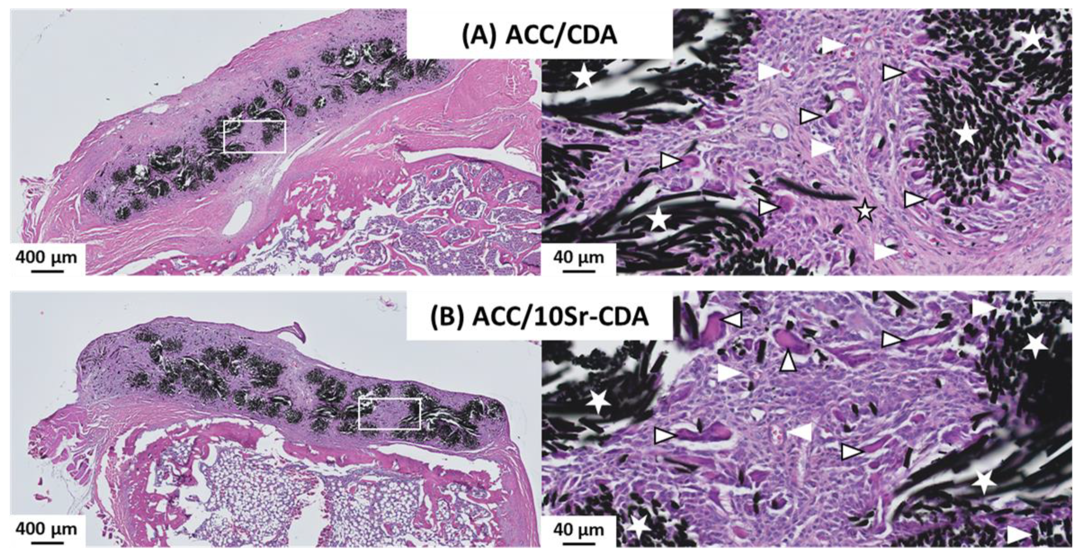 Jfb 14 00246 g006 Jfb 14 00246 g006