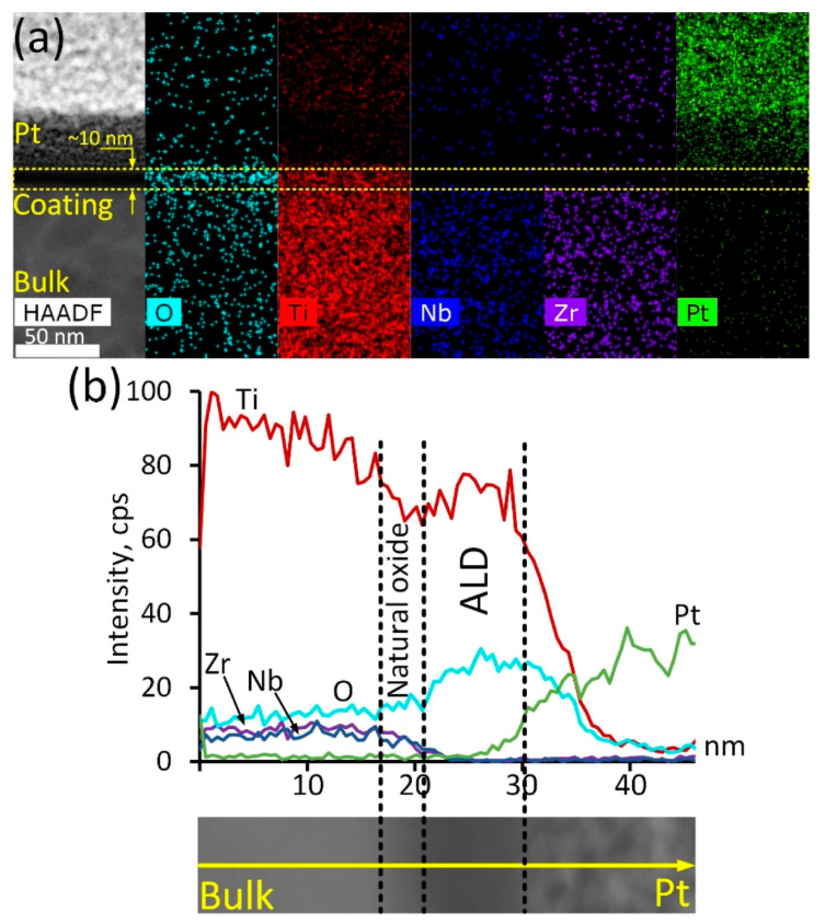 Jfb 14 00249 g001 Jfb 14 00249 g001