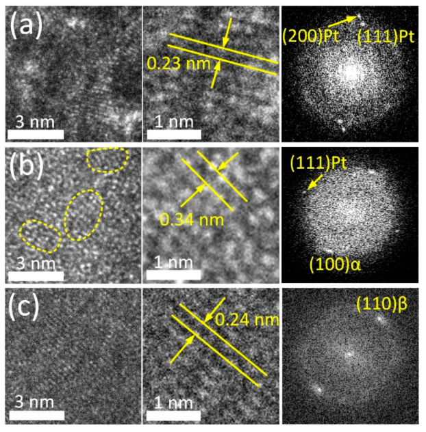 Jfb 14 00249 g002 Jfb 14 00249 g002