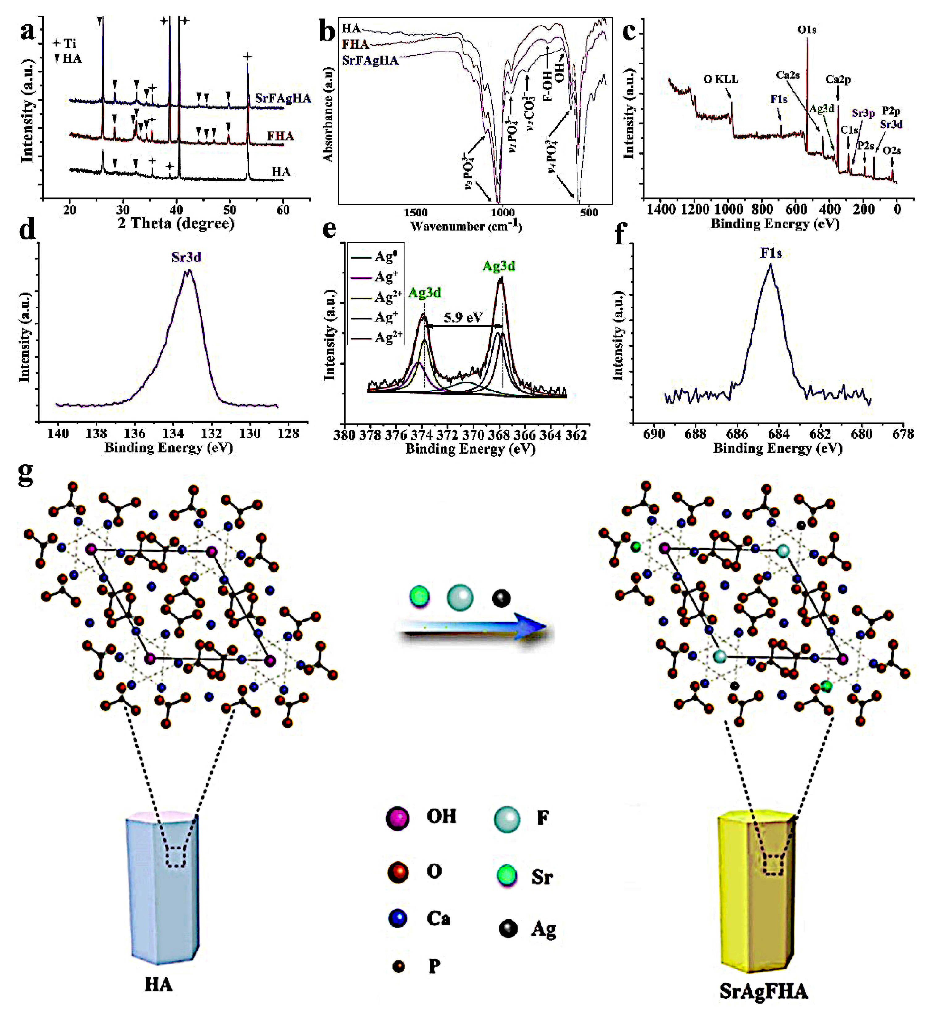 Jfb 14 00250 g001 550