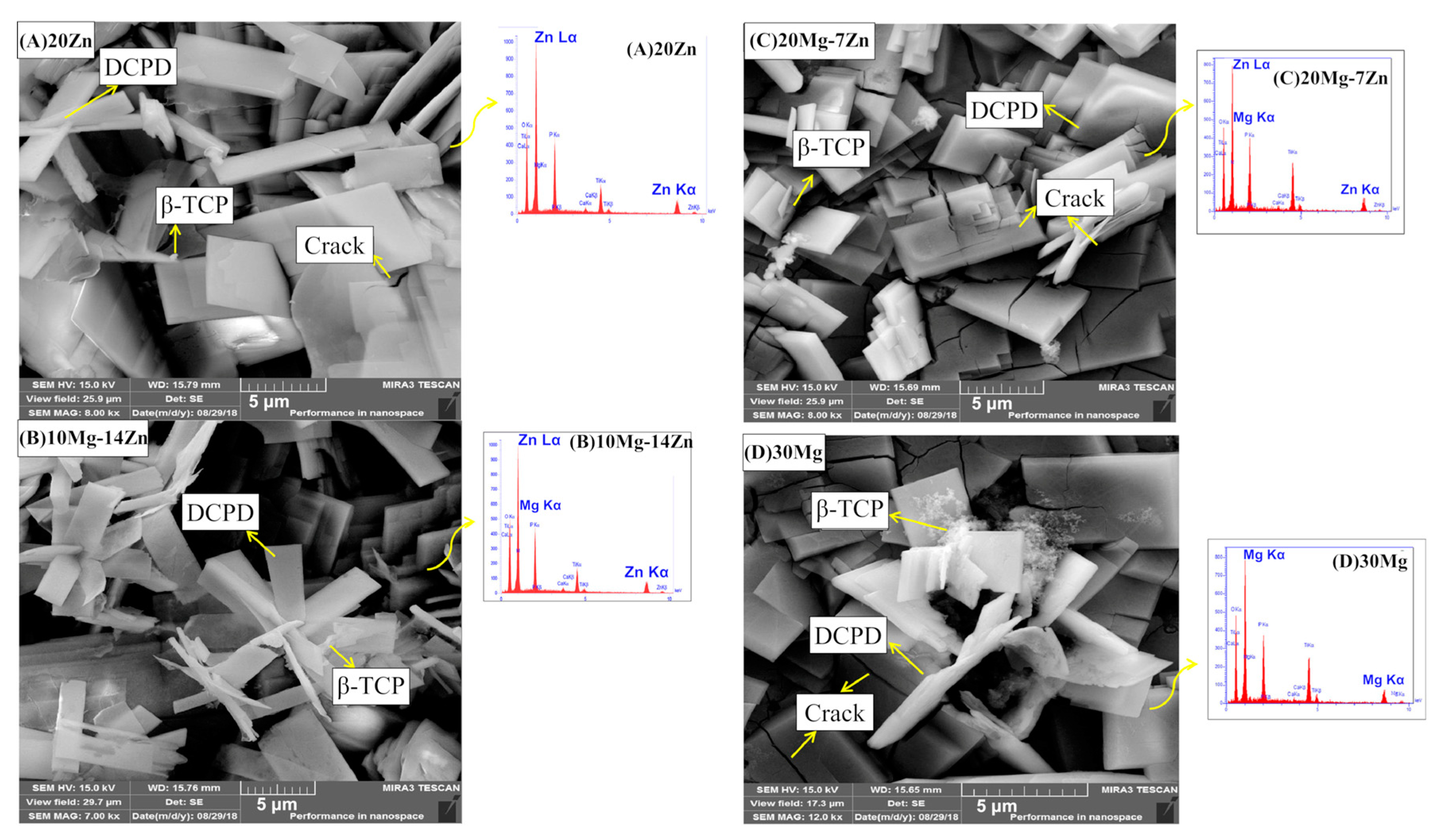 Jfb 14 00250 g002 550
