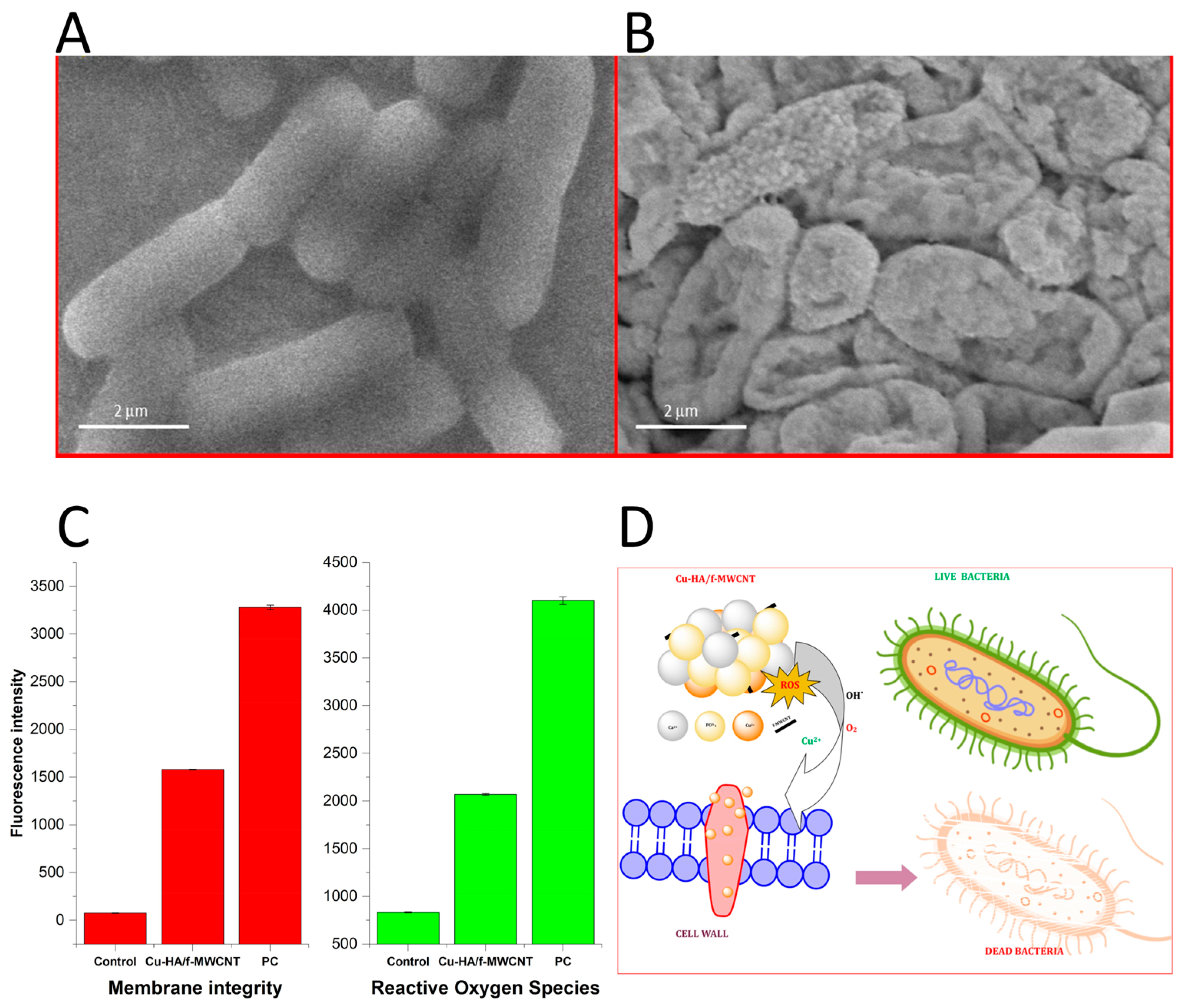 Jfb 14 00250 g004 550
