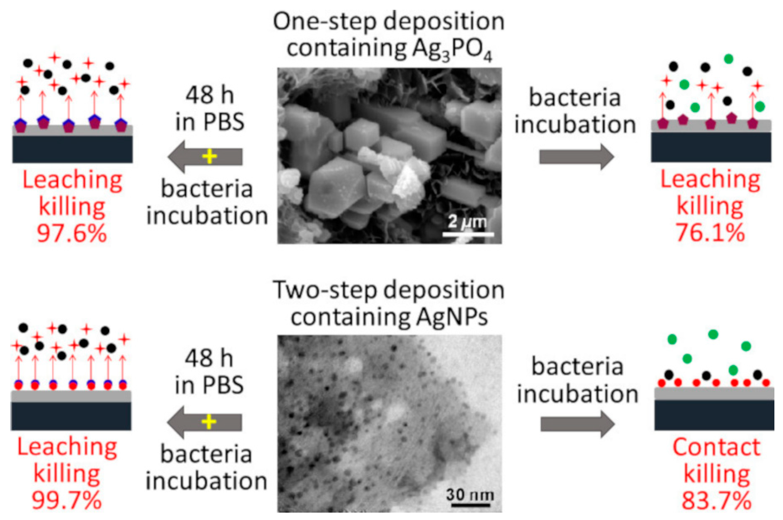 Jfb 14 00250 g005 550