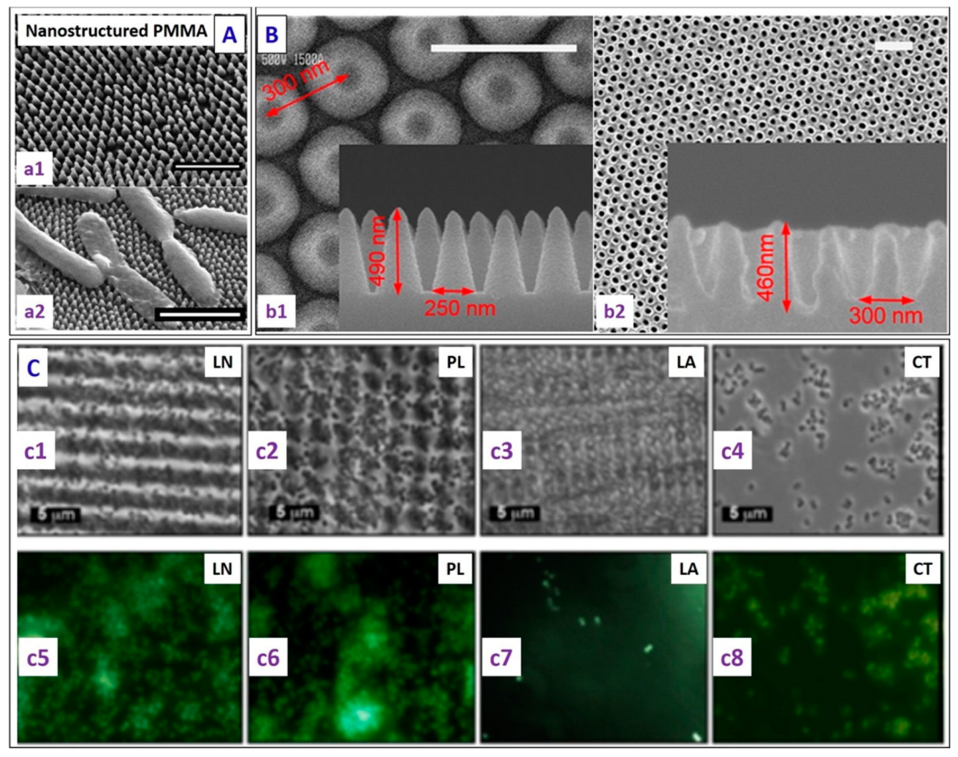 Jfb 14 00250 g006 550