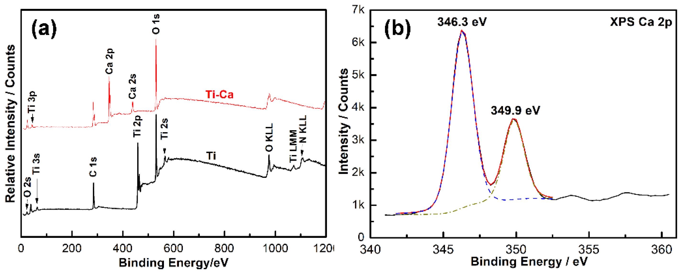 Jfb 14 00253 g003 Jfb 14 00253 g003