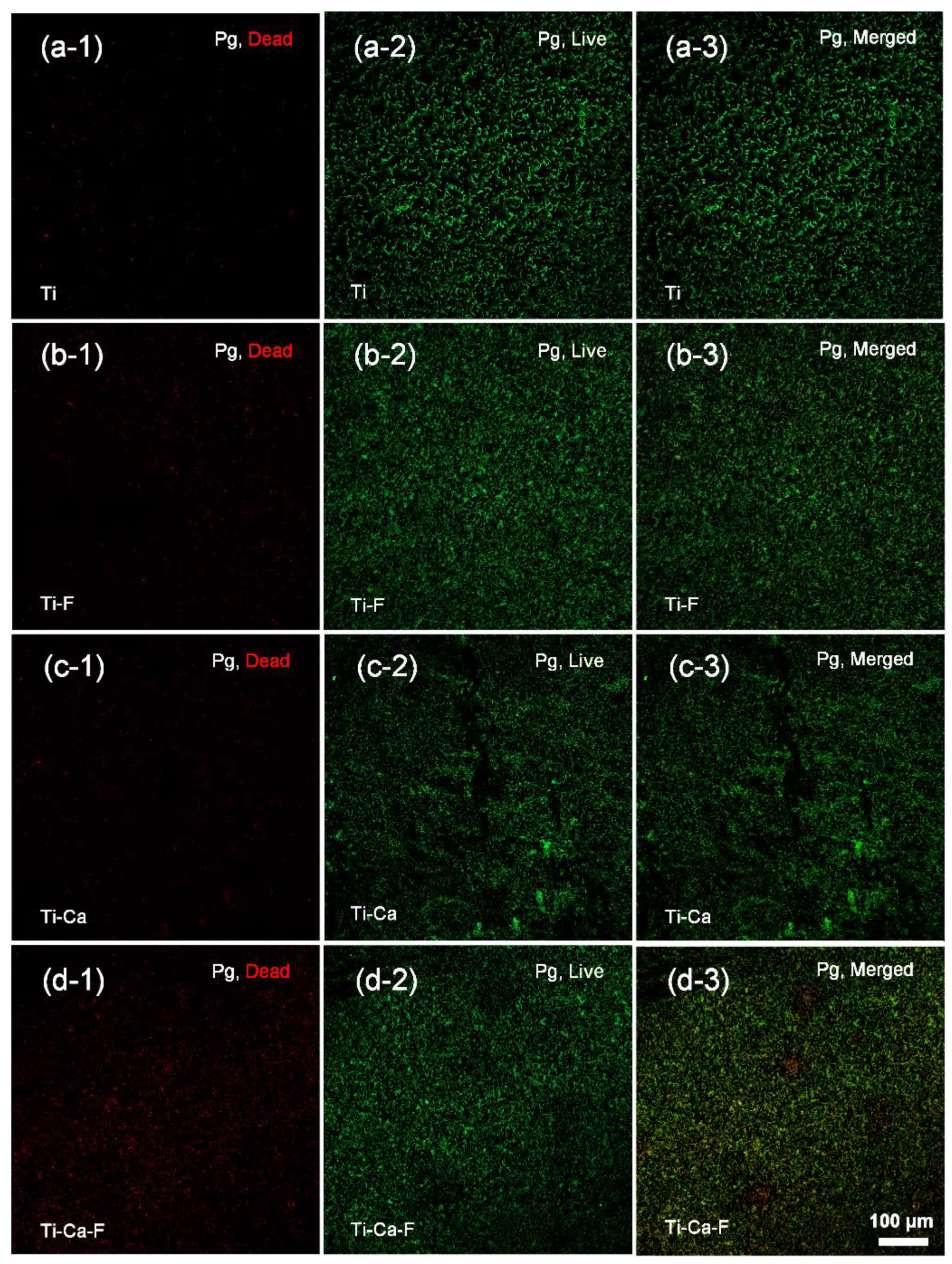 Jfb 14 00253 g006 Jfb 14 00253 g006