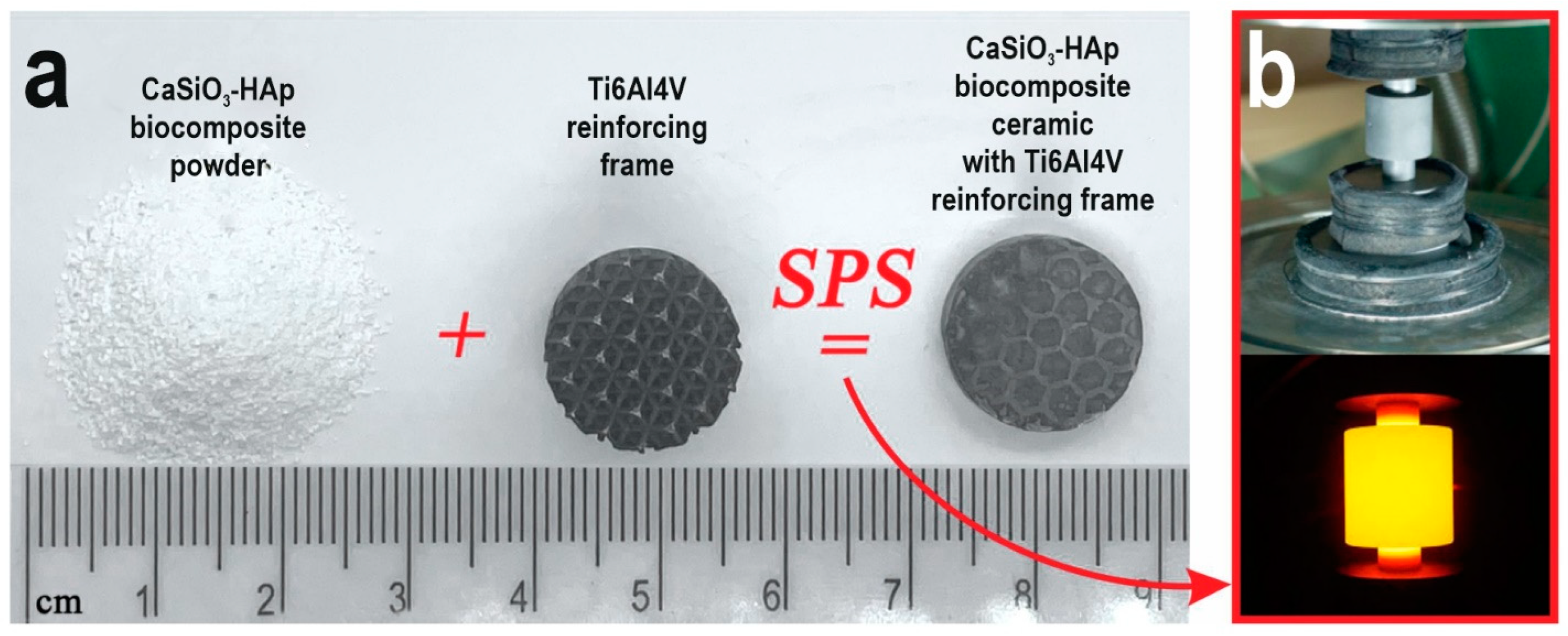 Jfb 14 00259 g001 Jfb 14 00259 g001