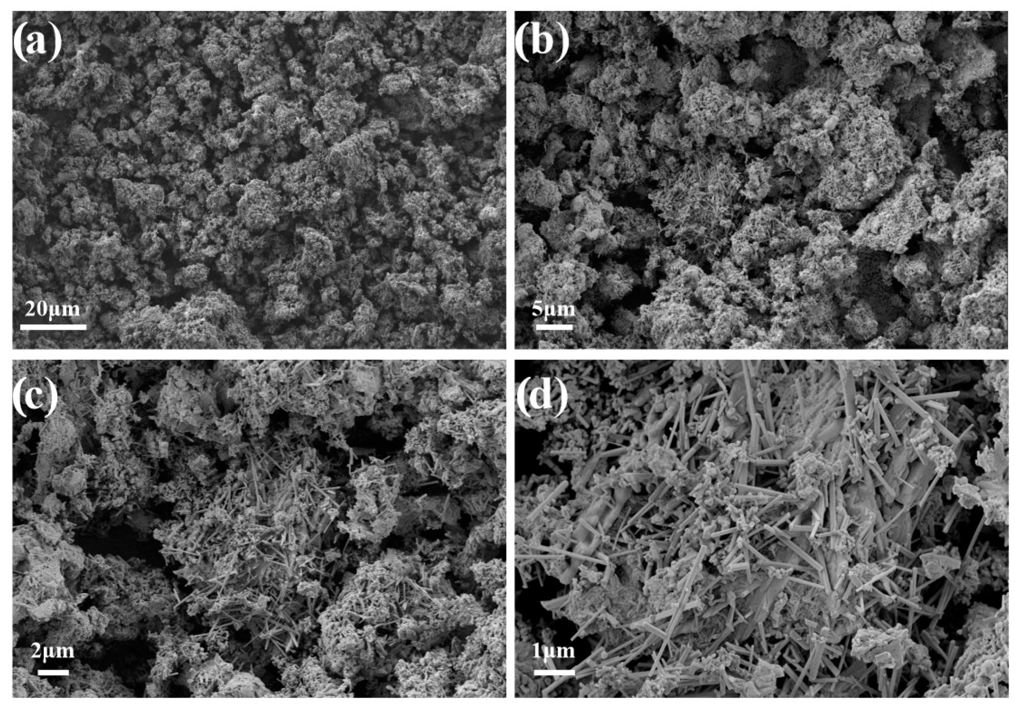 Jfb 14 00259 g003 Jfb 14 00259 g003