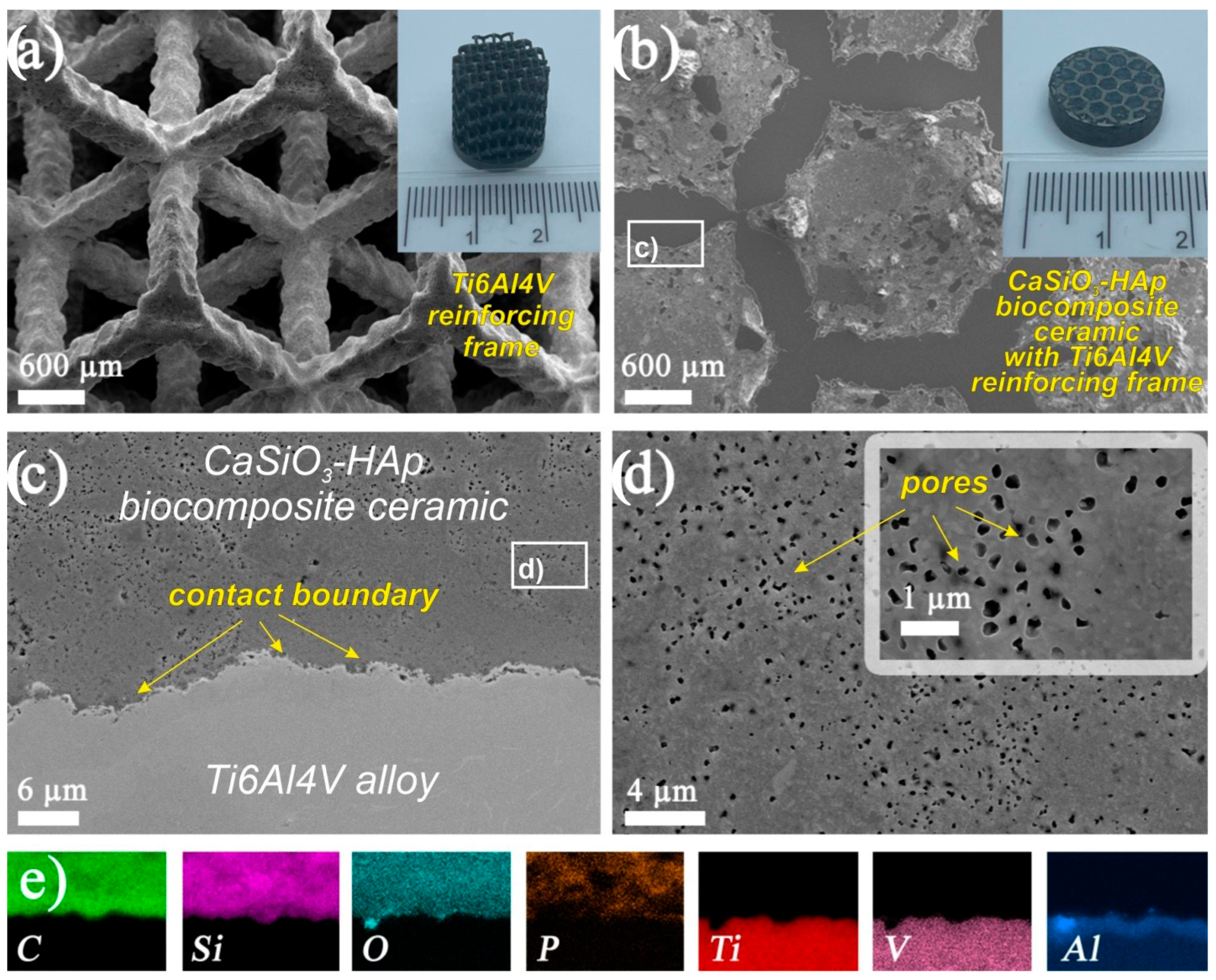 Jfb 14 00259 g005 Jfb 14 00259 g005