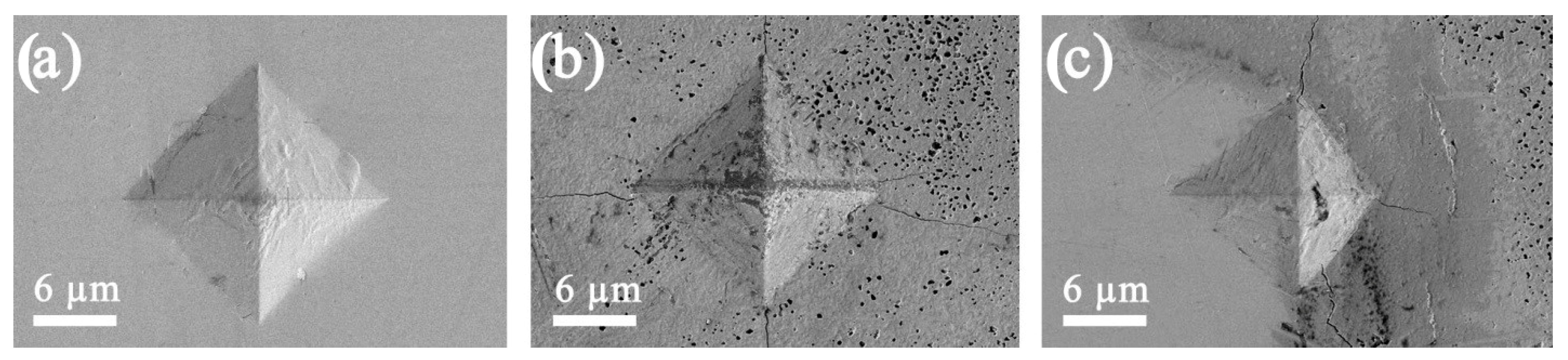 Jfb 14 00259 g007 Jfb 14 00259 g007