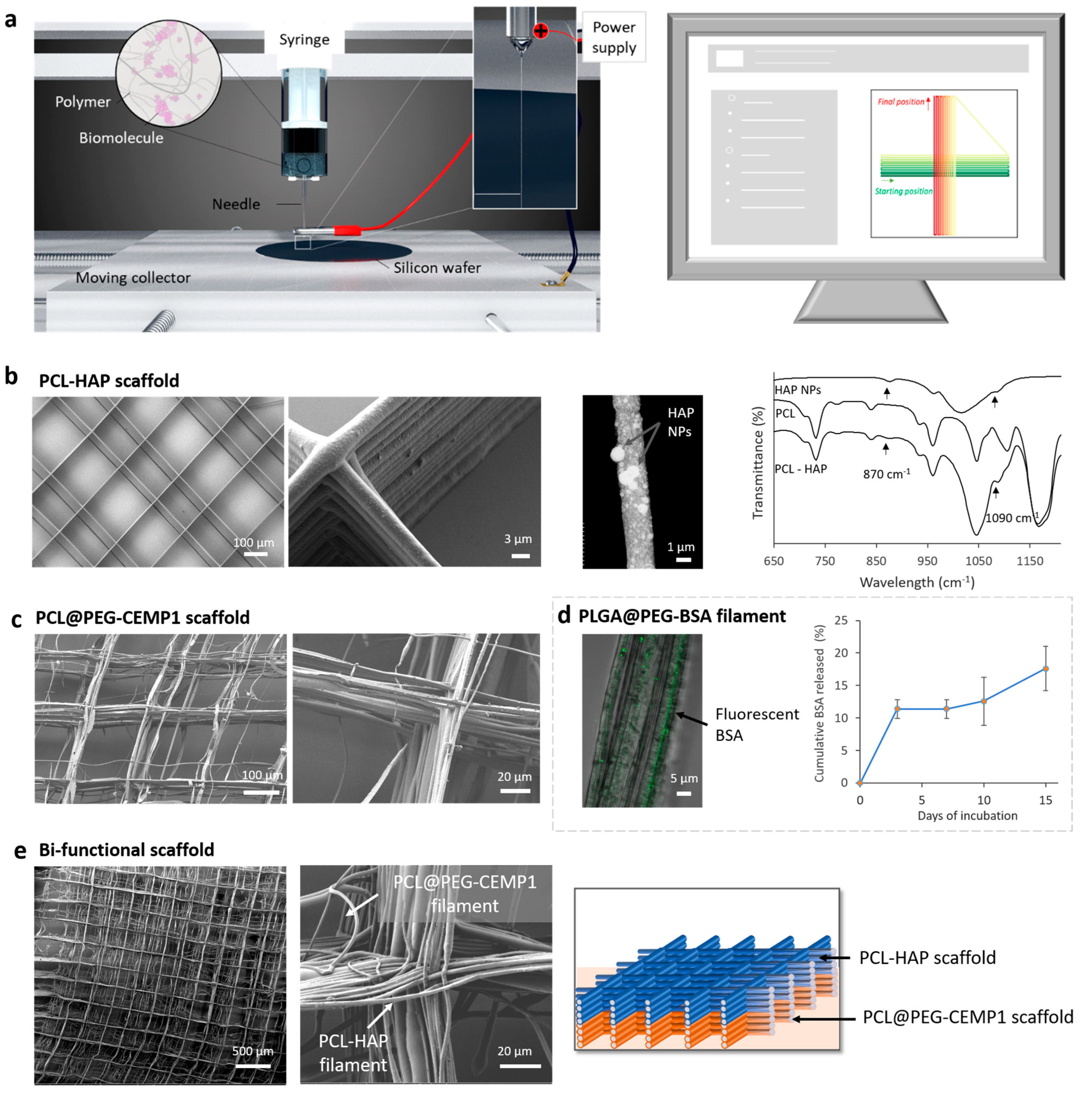 Jfb 14 00263 g002 Jfb 14 00263 g002