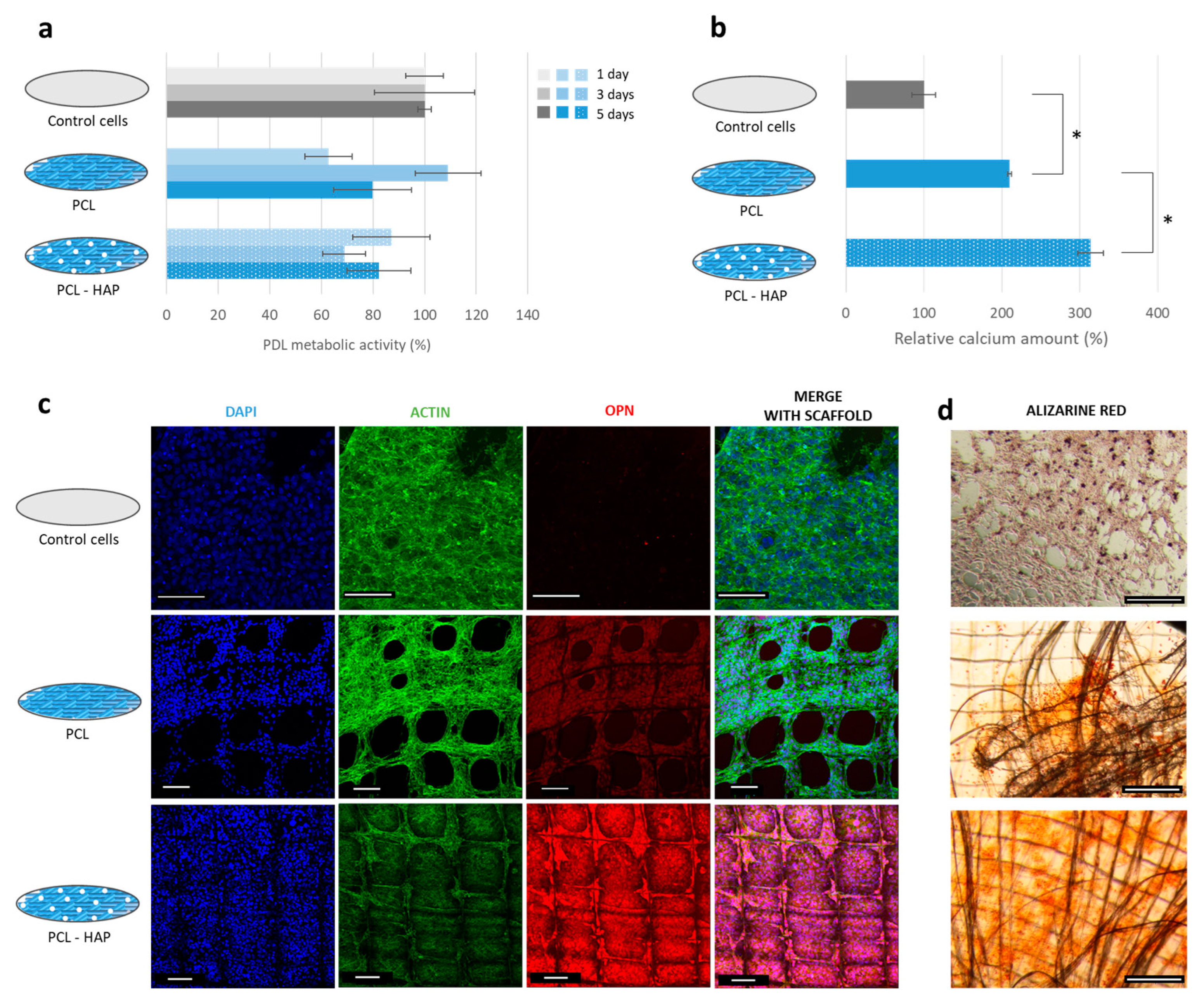 Jfb 14 00263 g003 Jfb 14 00263 g003