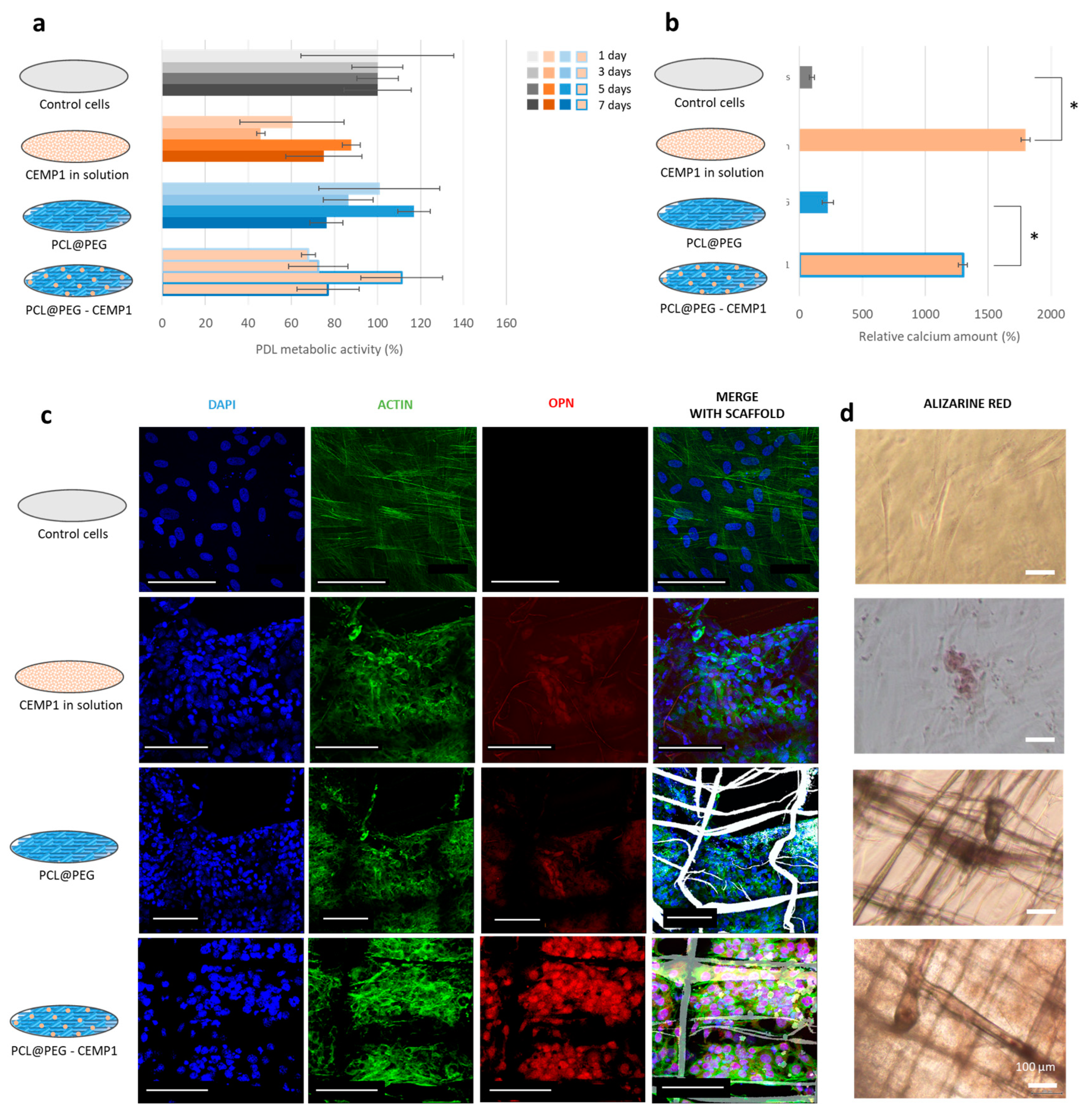 Jfb 14 00263 g004 Jfb 14 00263 g004