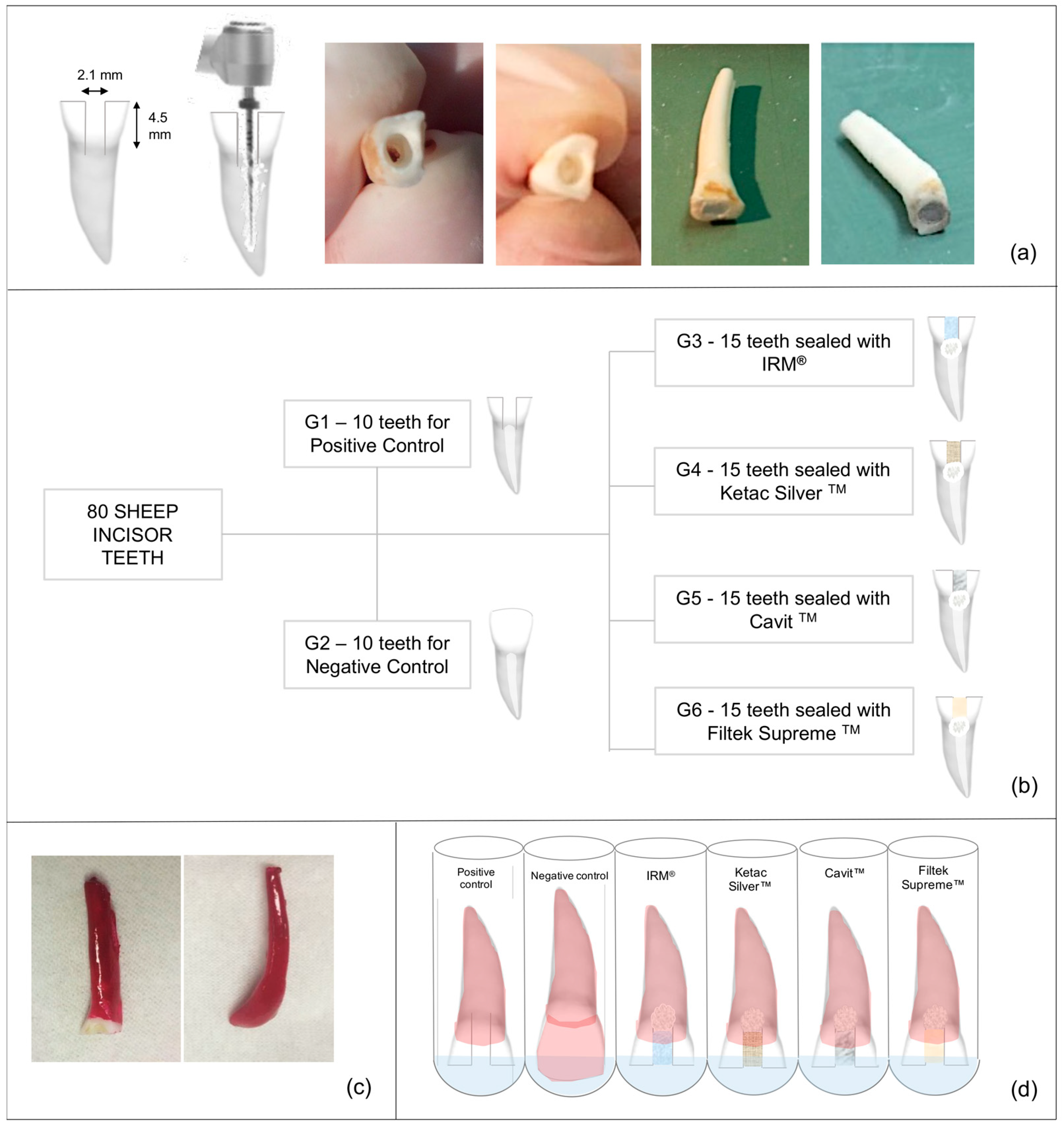 Jfb 14 00264 g001 Jfb 14 00264 g001