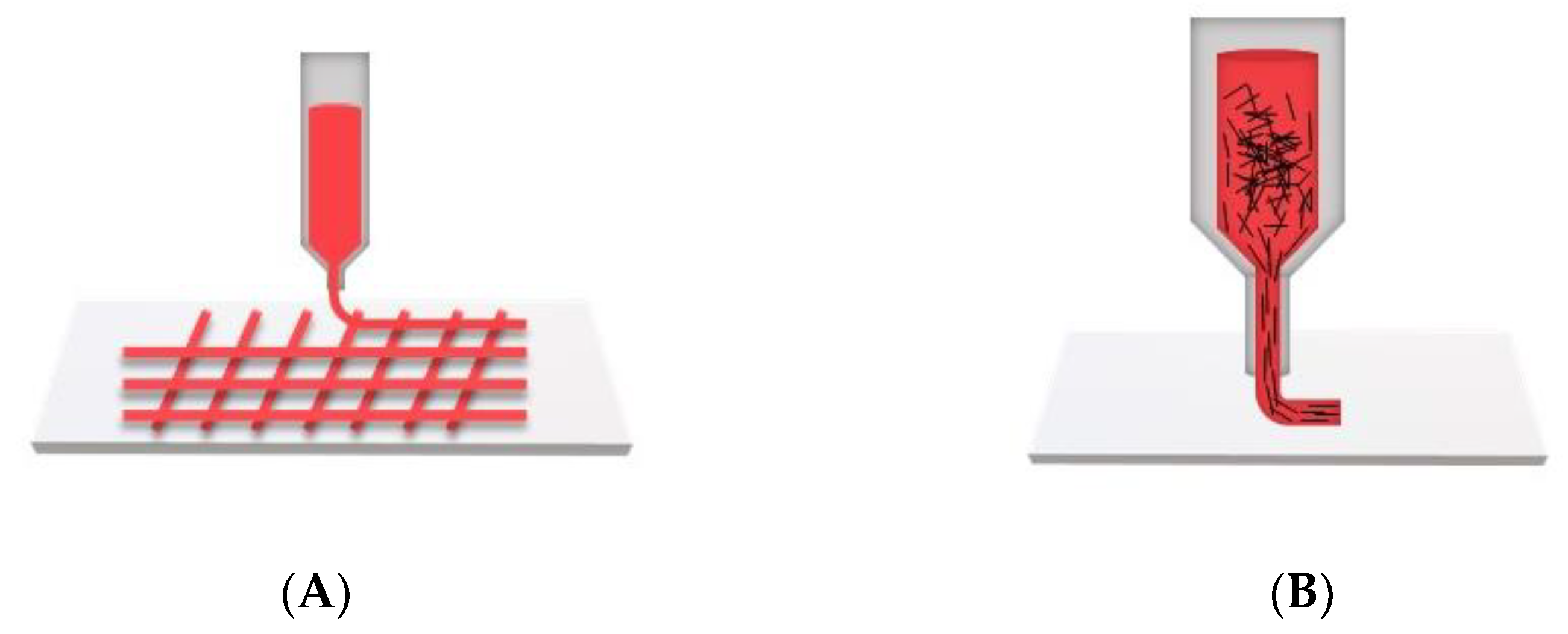 Jfb 14 00269 g005 Jfb 14 00269 g005