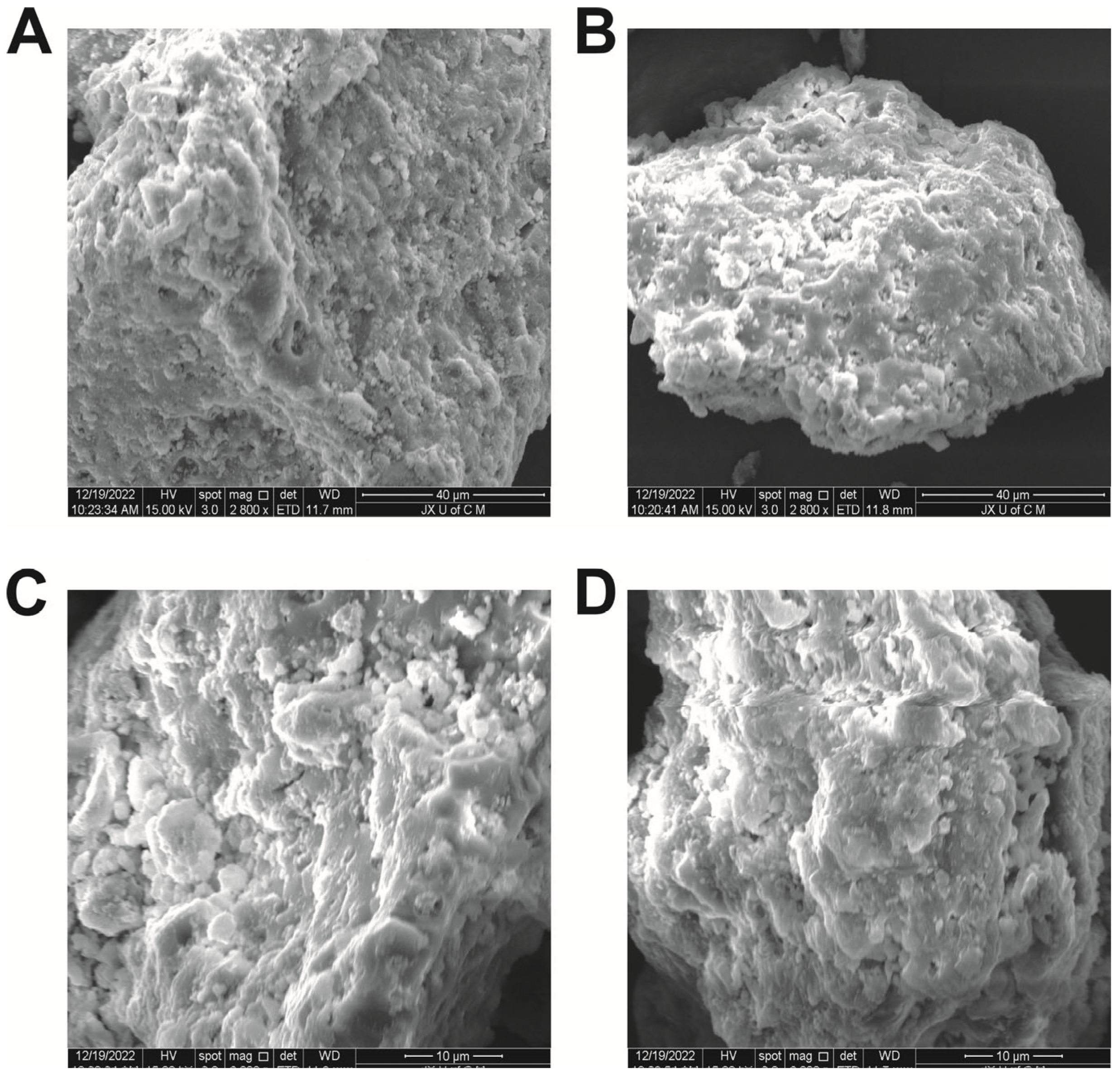 Jfb 14 00278 g006 Jfb 14 00278 g006