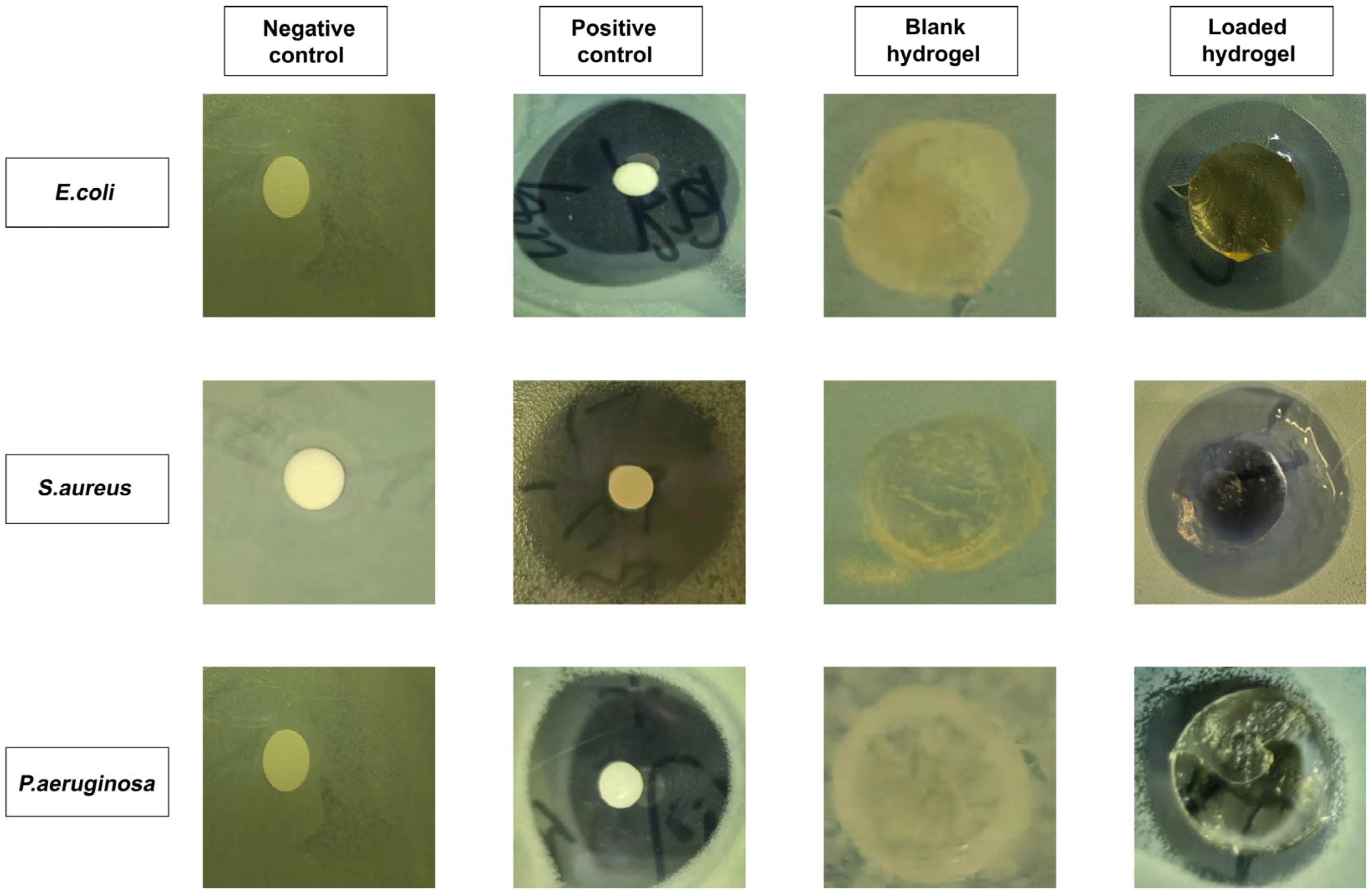 Jfb 14 00278 g012 Jfb 14 00278 g012