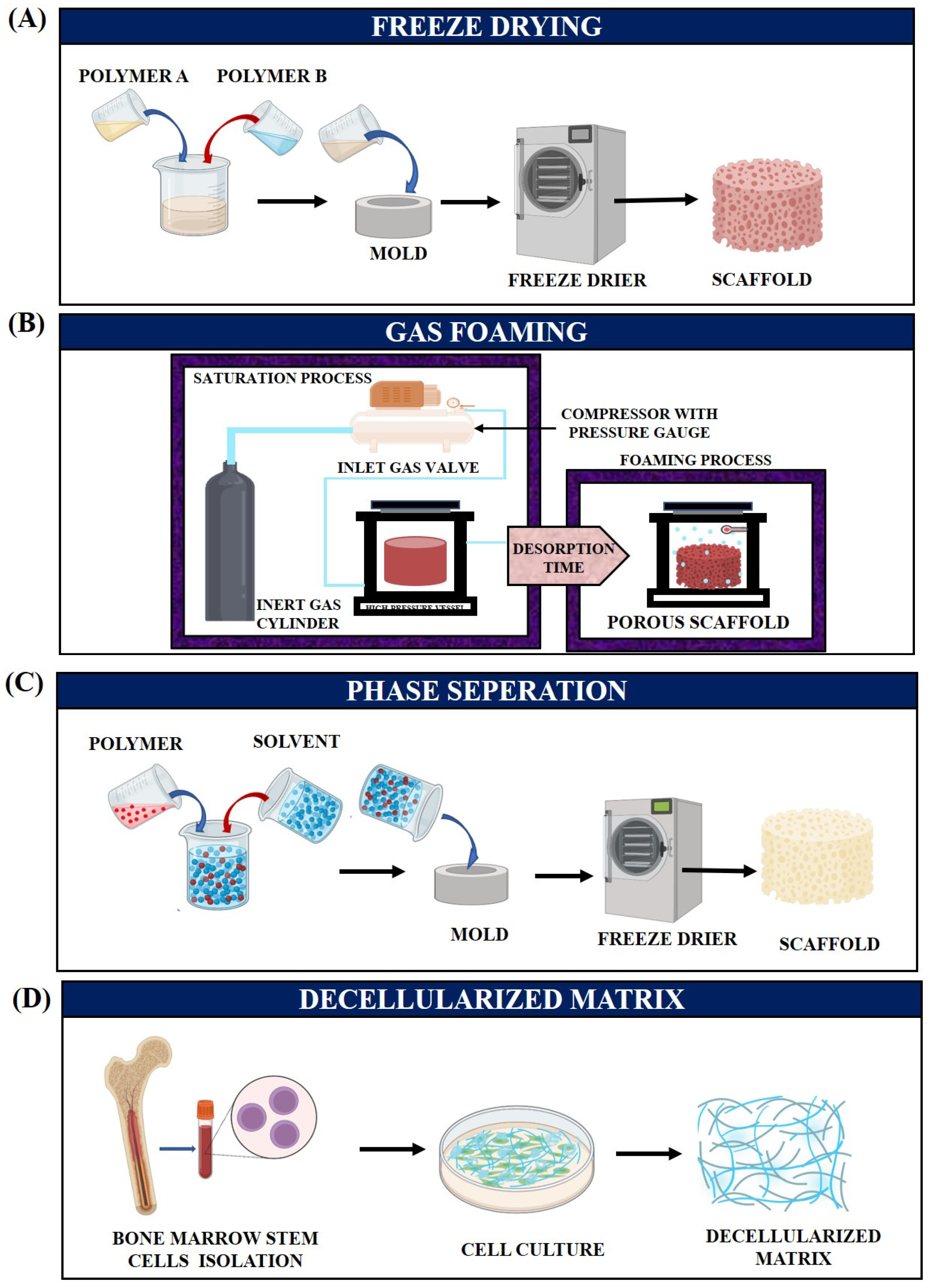 Jfb 14 00288 g003a Jfb 14 00288 g003a