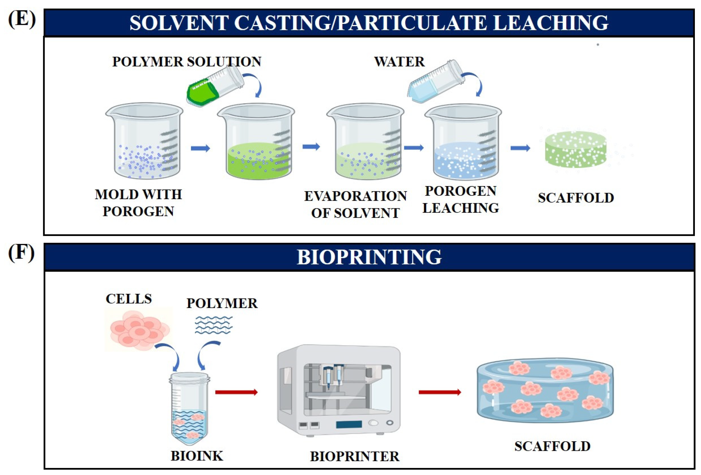 Jfb 14 00288 g003b Jfb 14 00288 g003b