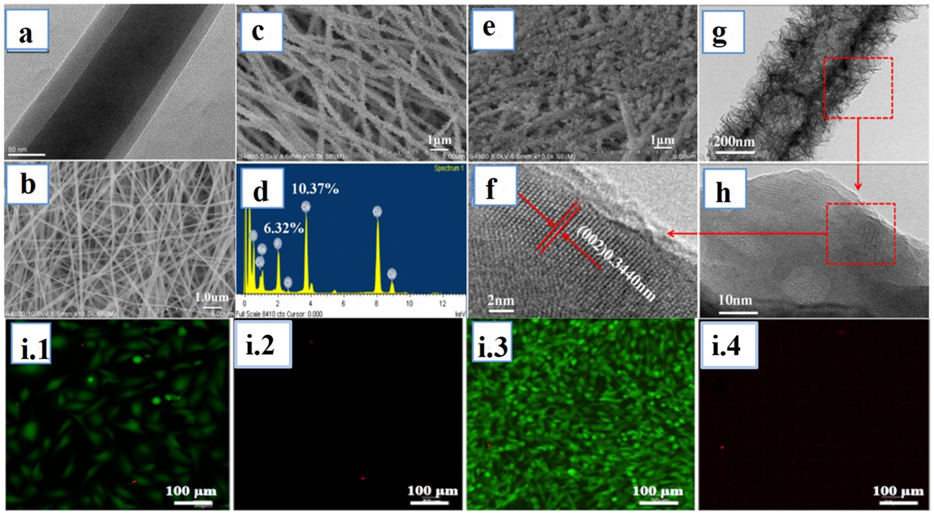 Jfb 14 00288 g005 Jfb 14 00288 g005