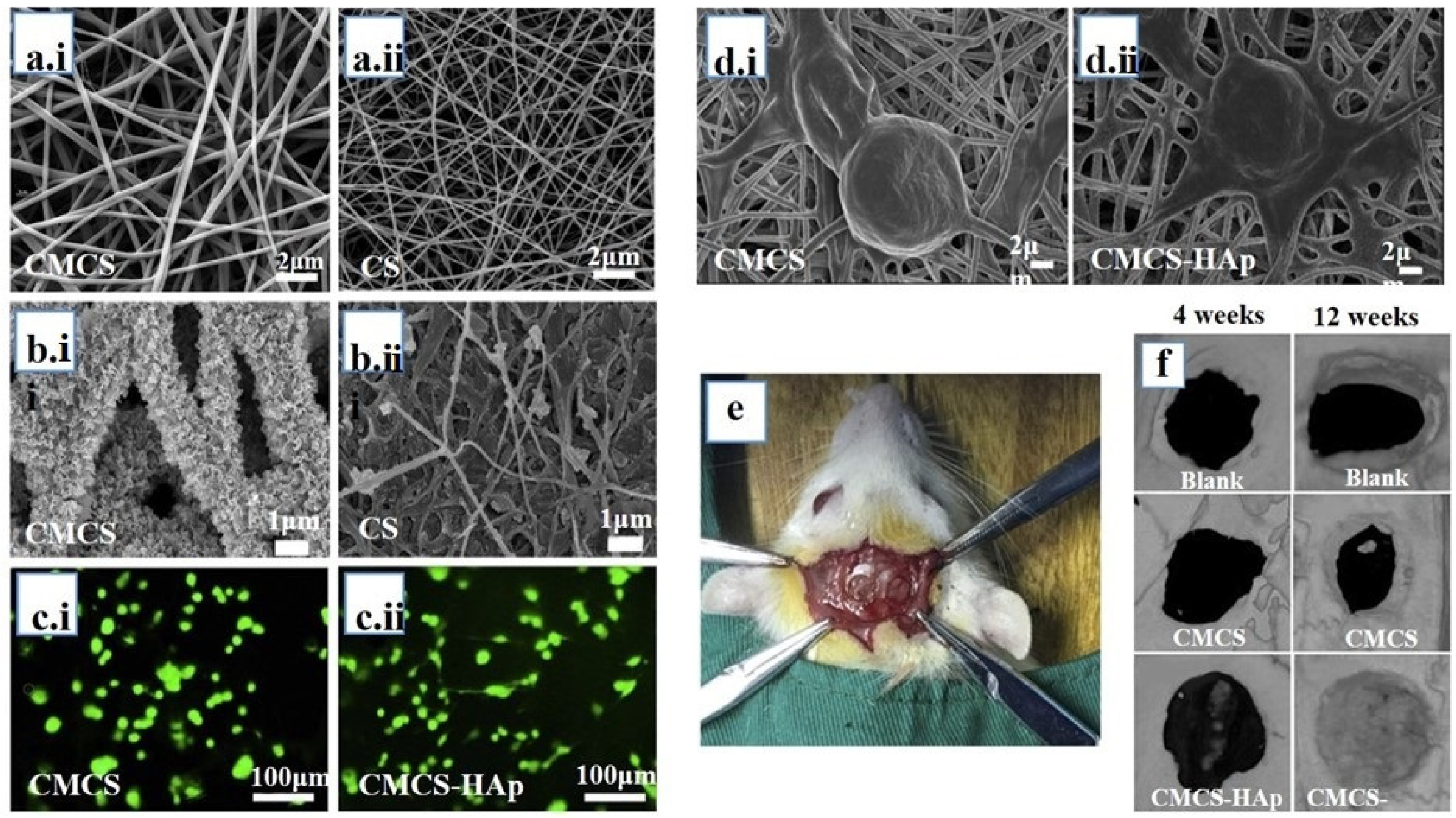 Jfb 14 00288 g006 Jfb 14 00288 g006