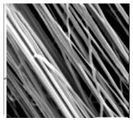 Jfb 14 00288 i002 Jfb 14 00288 i002