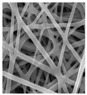 Jfb 14 00288 i003 Jfb 14 00288 i003