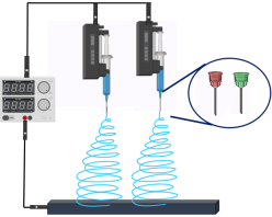 Jfb 14 00288 i005 Jfb 14 00288 i005