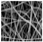 Jfb 14 00288 i006 Jfb 14 00288 i006