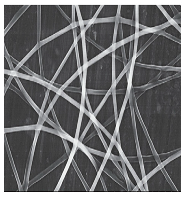 Jfb 14 00288 i008 Jfb 14 00288 i008