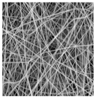 Jfb 14 00288 i009 Jfb 14 00288 i009