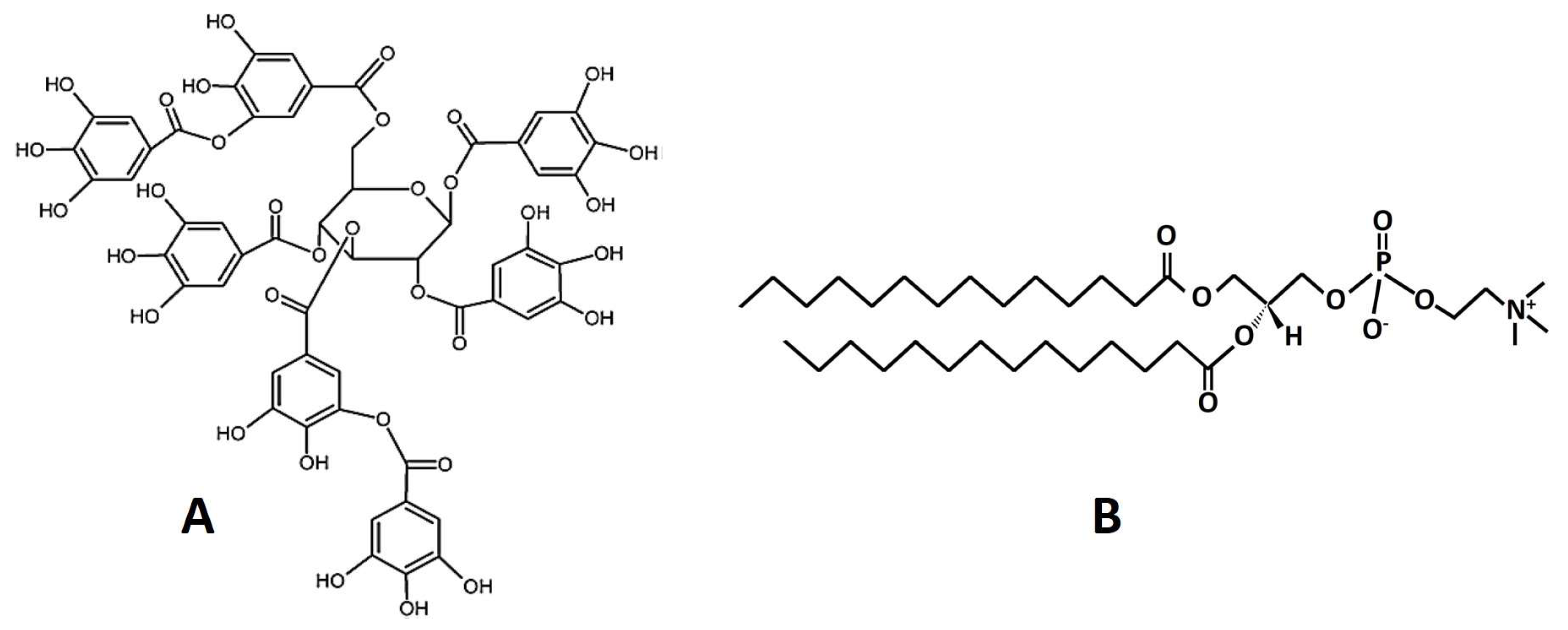 Jfb 14 00296 g001 Jfb 14 00296 g001
