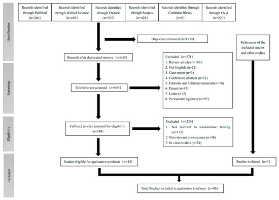 Therapeutic Potential of Exosomes in Tendon and Tendon–Bone