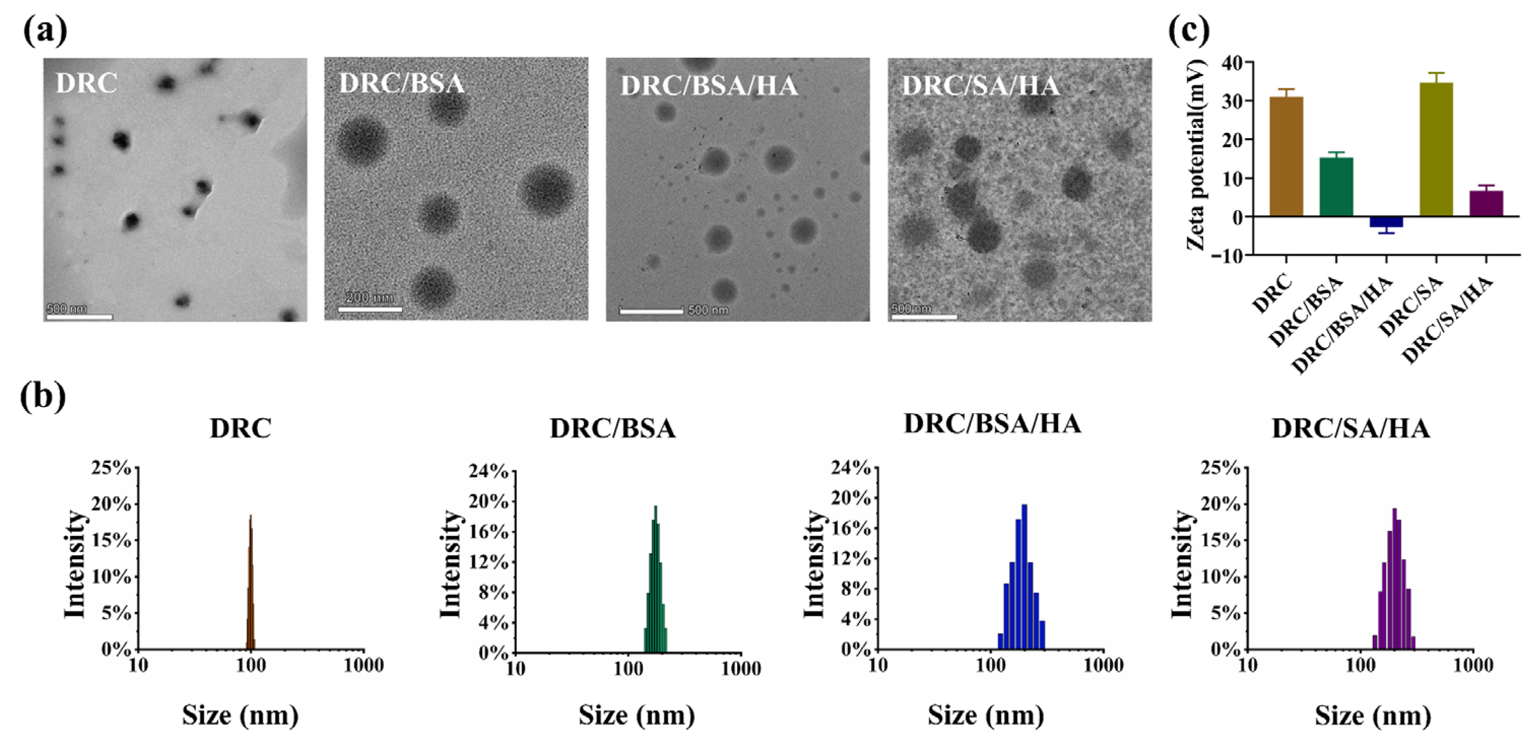 Jfb 14 00301 g003 Jfb 14 00301 g003