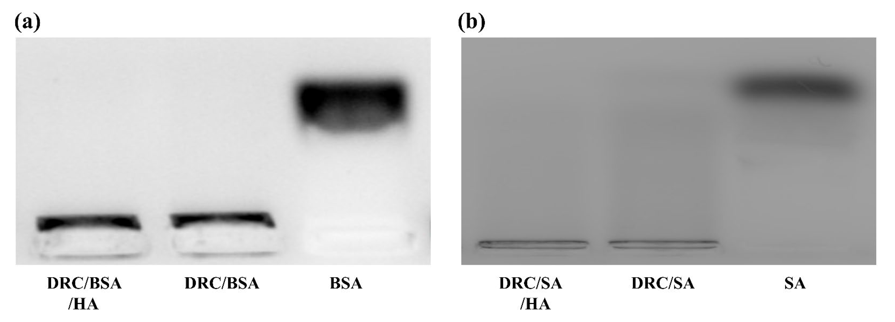 Jfb 14 00301 g004 Jfb 14 00301 g004