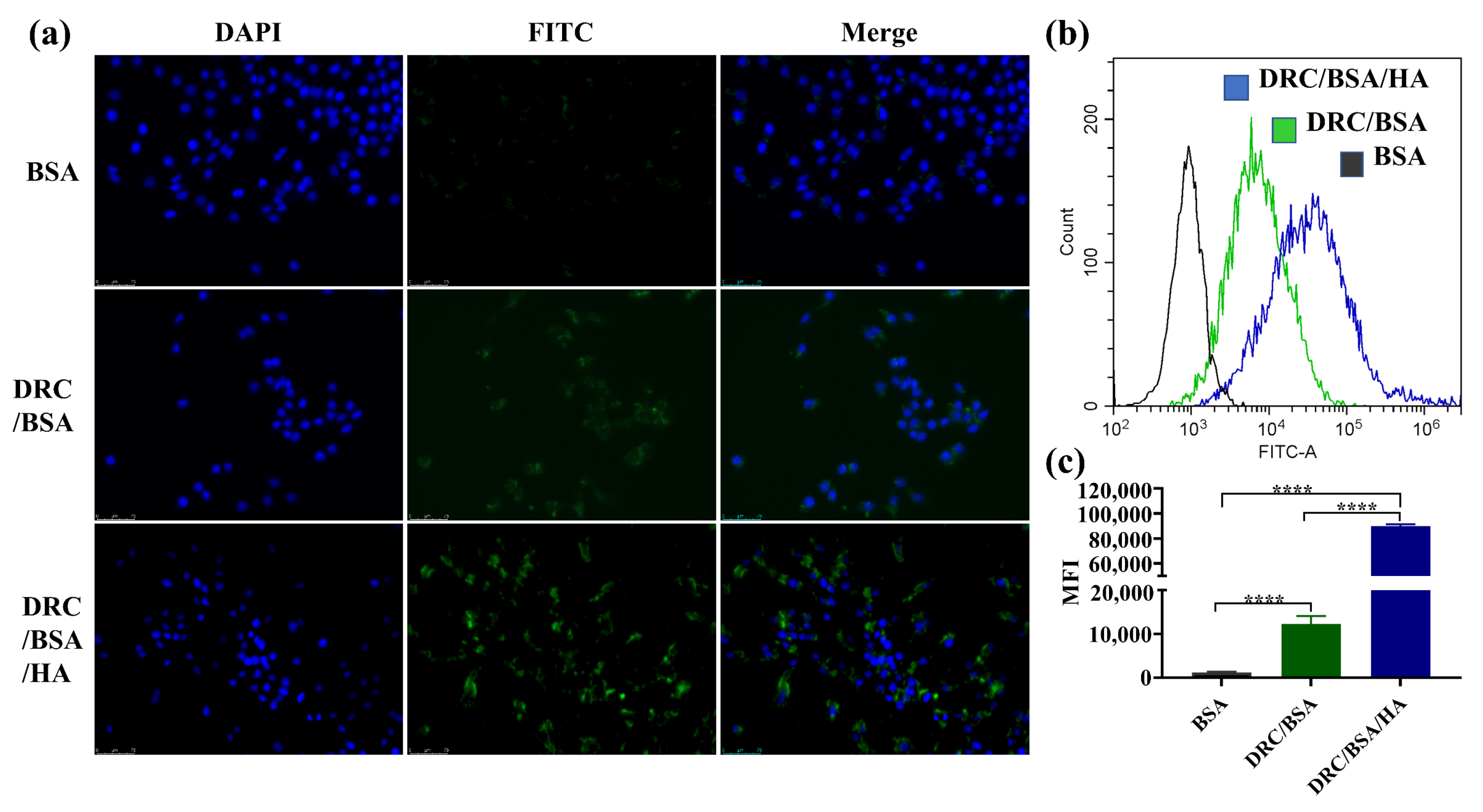 Jfb 14 00301 g006 Jfb 14 00301 g006
